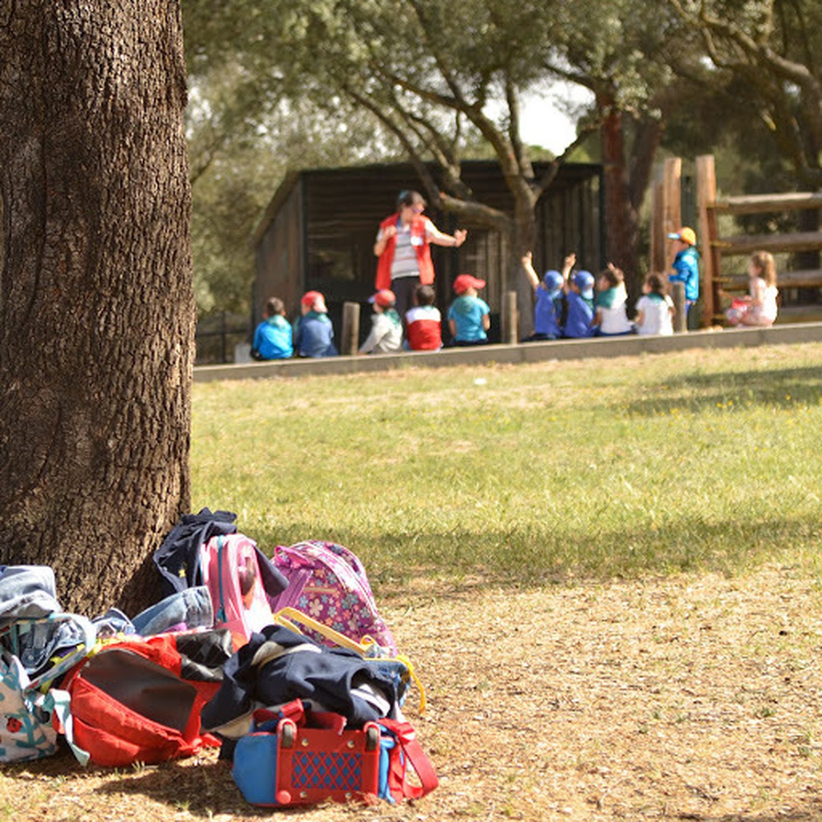 Una imagen de educación al aire libre