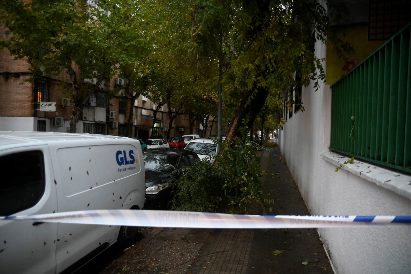 Las imágenes de los daños causados por el fuerte viento en el Sector Sur en Córdoba