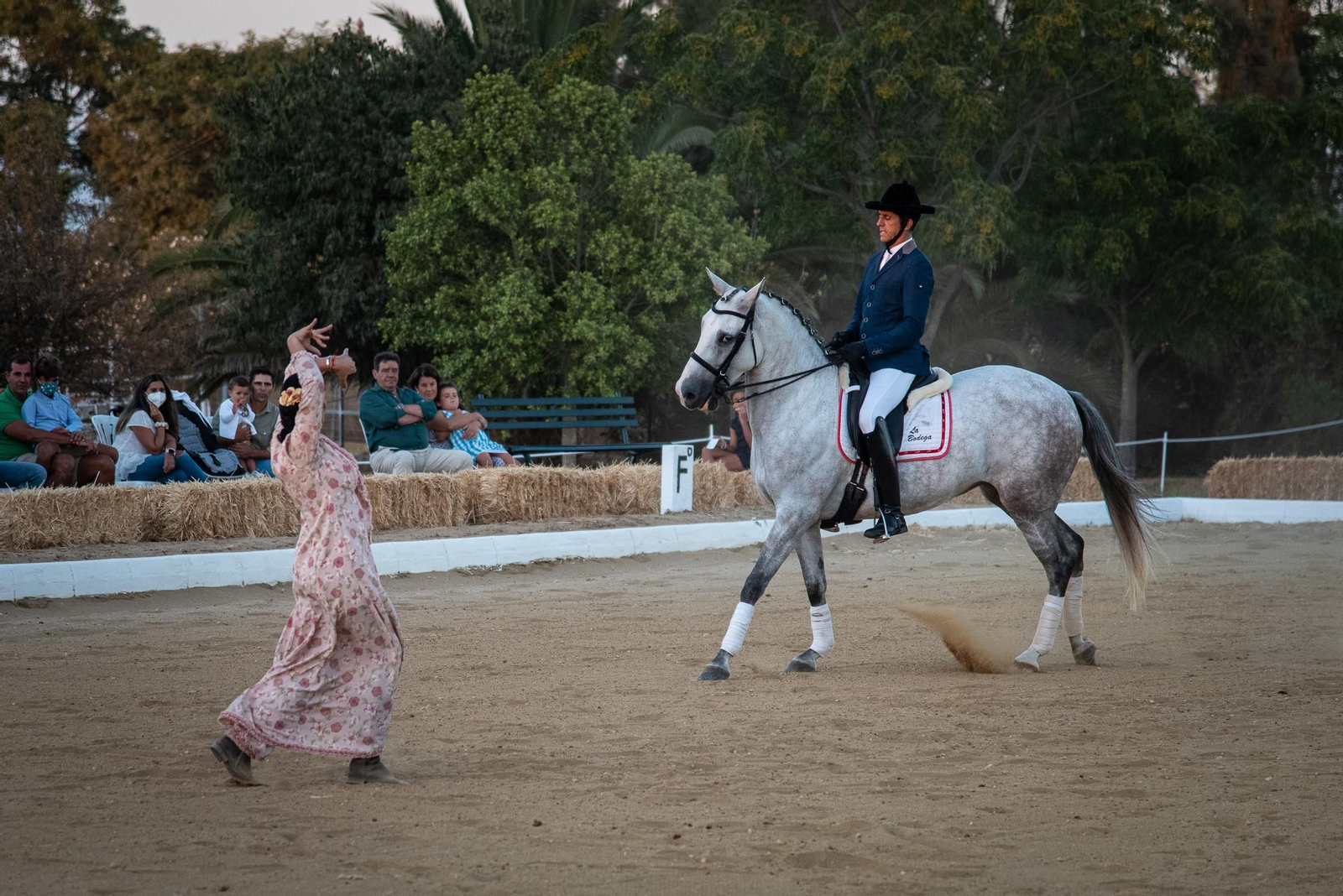 El espectáculo Flamencab en imágenes