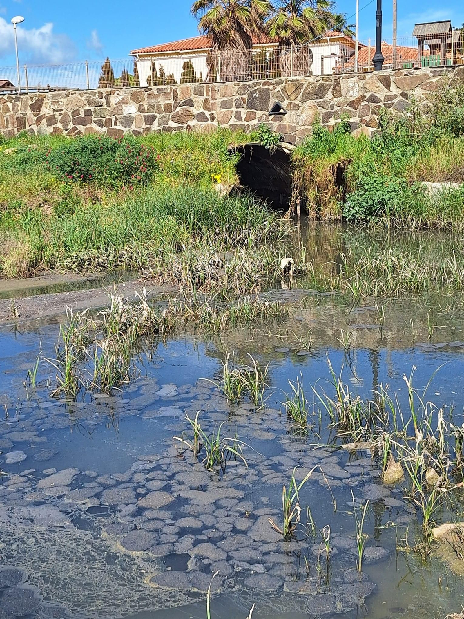 El vertido de aguas fecales en la playa de Los Lances de Tarifa, en imágenes.