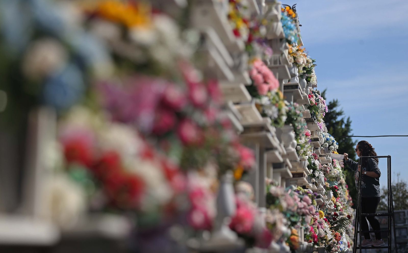 Fotos de los preparativos para los Tosantos en el cementerio de Algeciras
