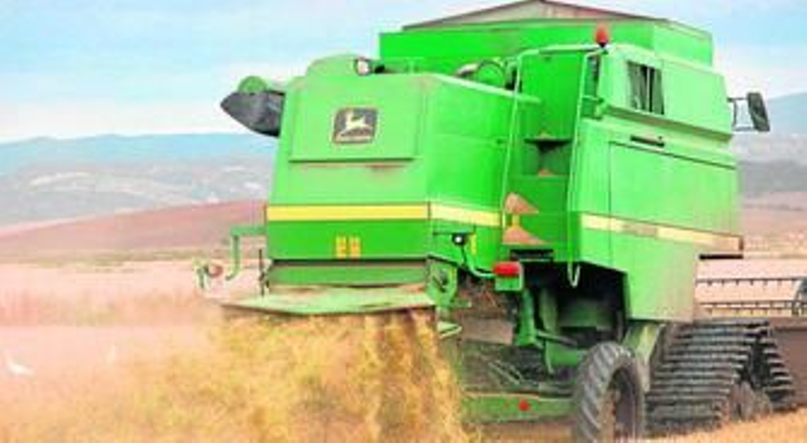 Una cosechadora en una arrozal de la Janda, comarca en la que se cumple el vigésimo aniversario de la implantación de este cultivo.