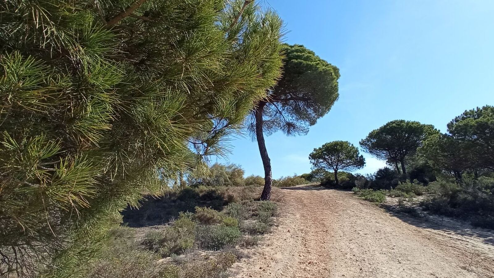 Un giro a la derecha para seguir la ruta