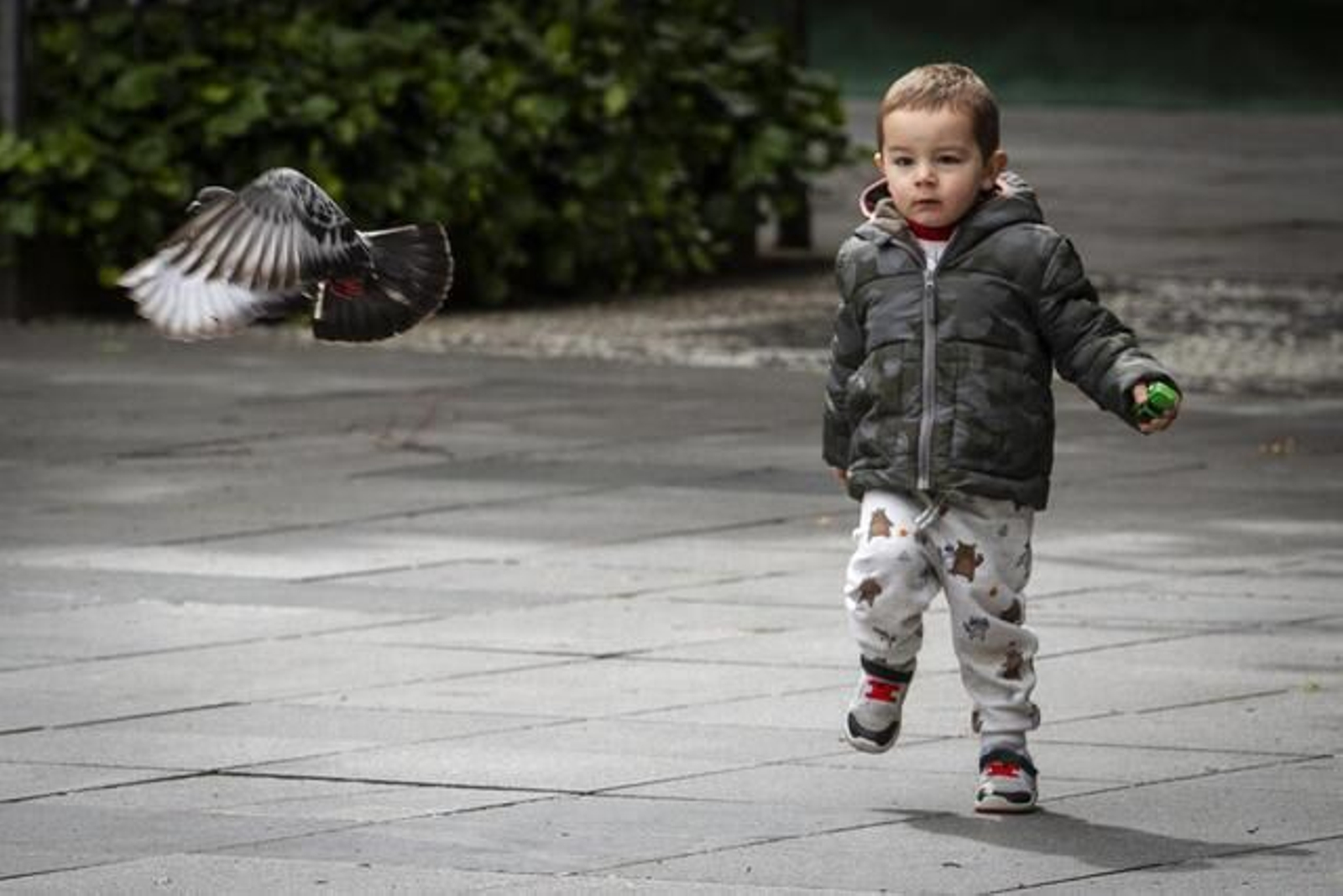 Los derechos de los sin voz