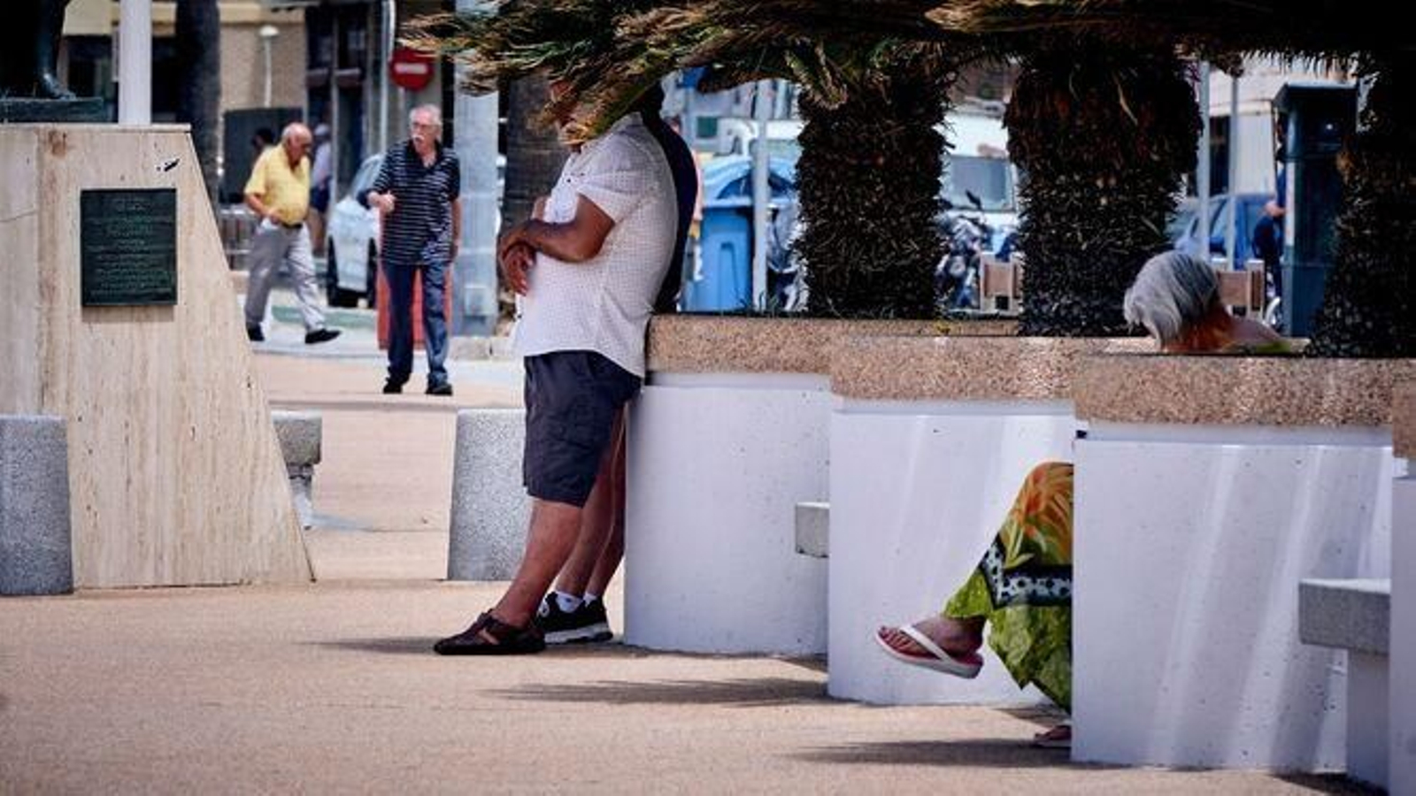 Un hombre se resguarda bajo una palmera en el Paseo Marítimo de Cádiz.