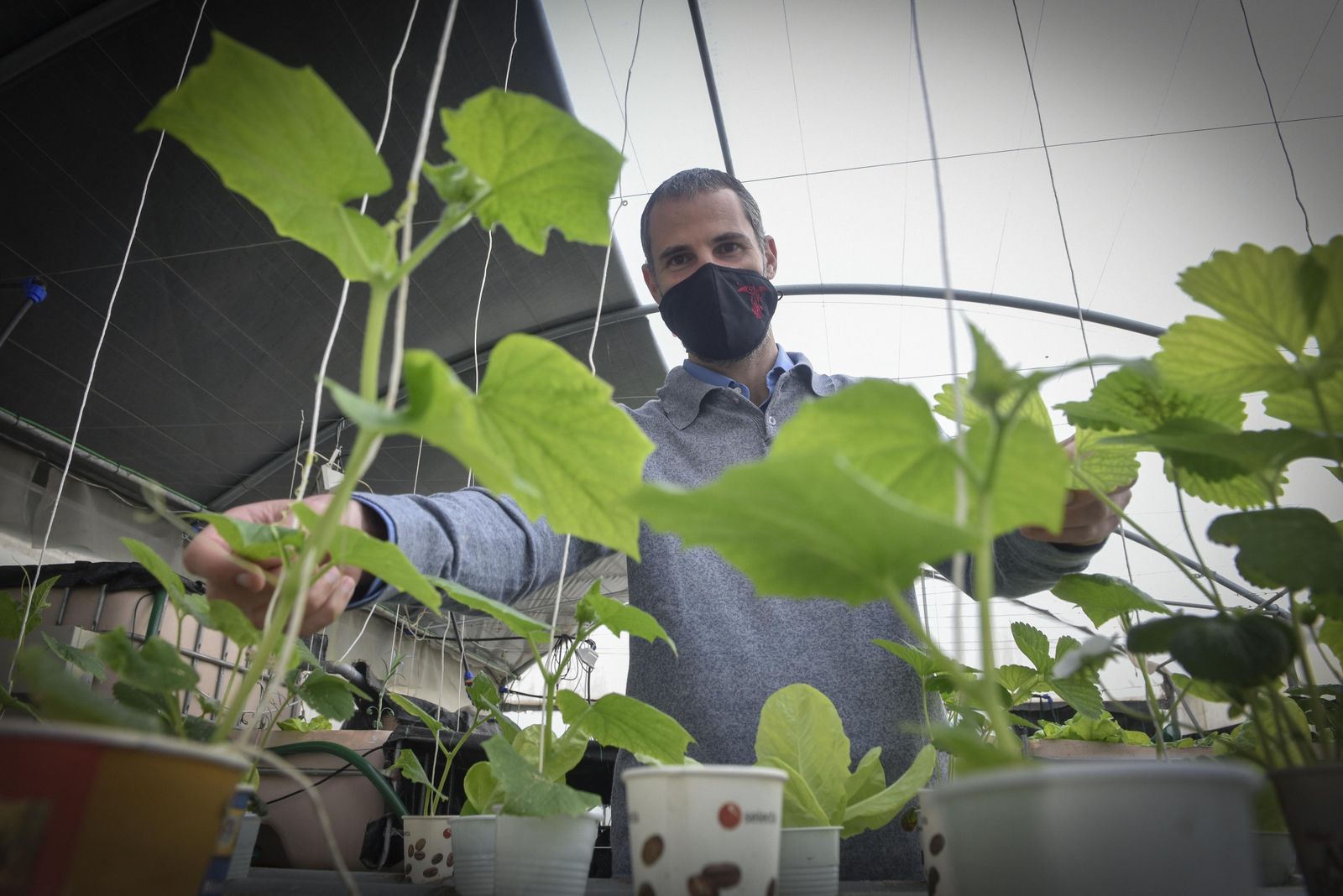 Luis Pérez, profesor de la ETS de Ingeniería Agronómica de la US y uno de los investigadores del estudio de la Universidad de Leeds.