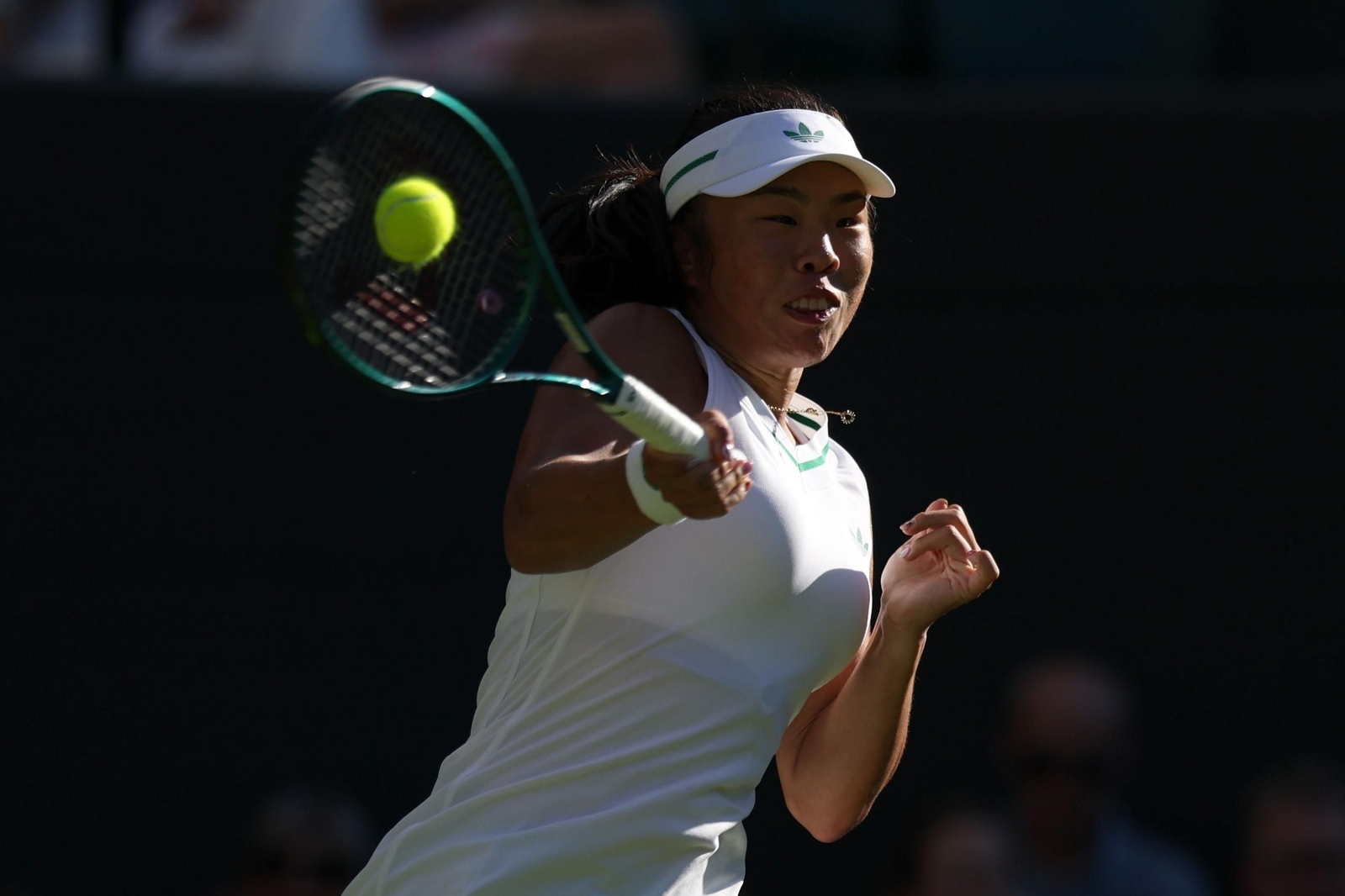 La primera jornada de Wimbledon (141).jpg