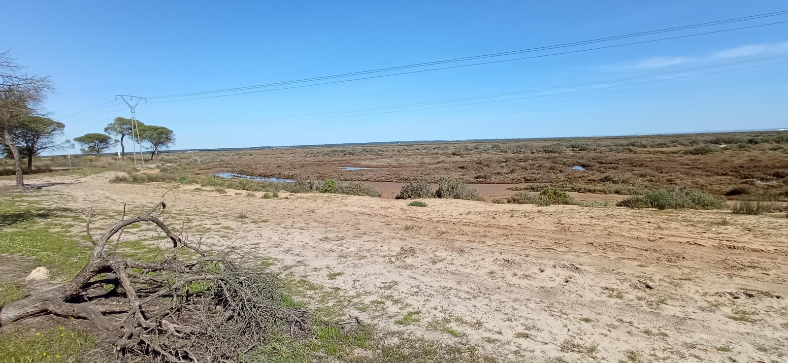 Las imágenes de la ruta de las salinas del Astur y los pinares de Punta Umbría