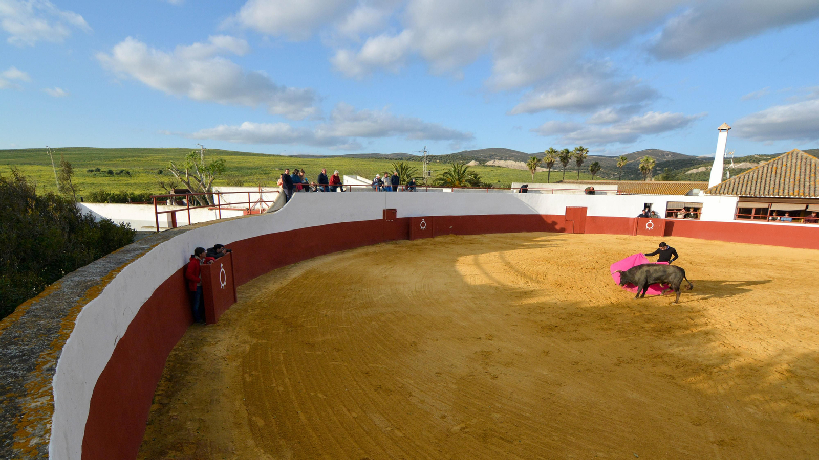 Tentadero con Talavante en la finca La Palmosilla