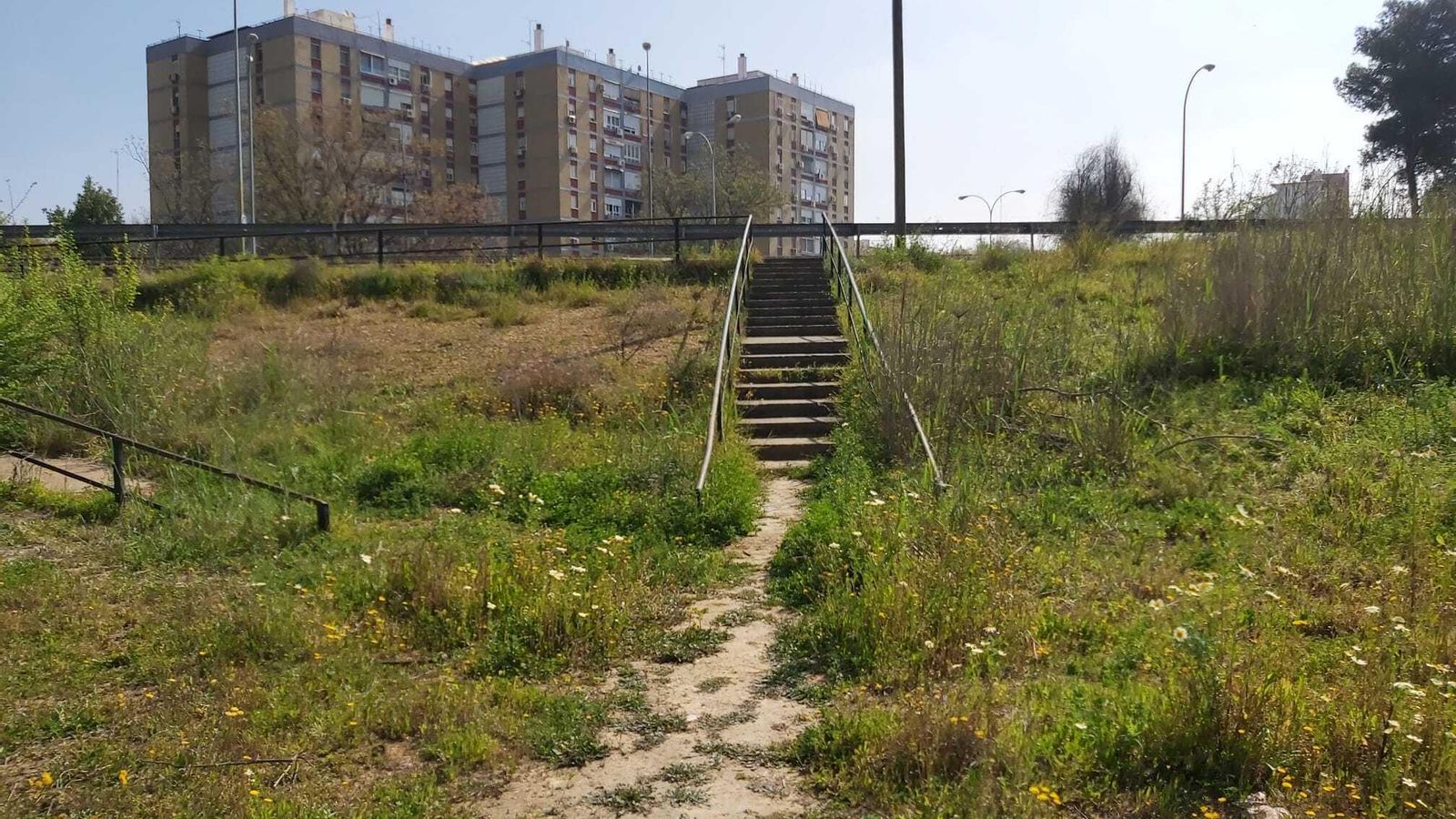El Parque Vega de Triana limpio tras la recogida de basuras.
