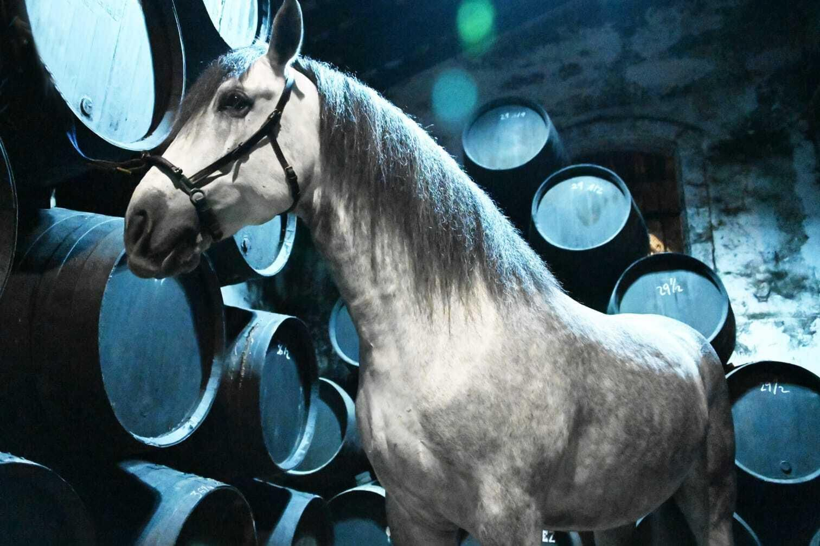 Galería fotográfica del rodaje de 'Siete Jereles'