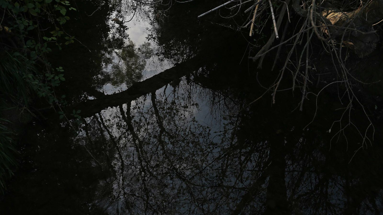 Las mejores fotos del parque fluvial del Río Pícaro