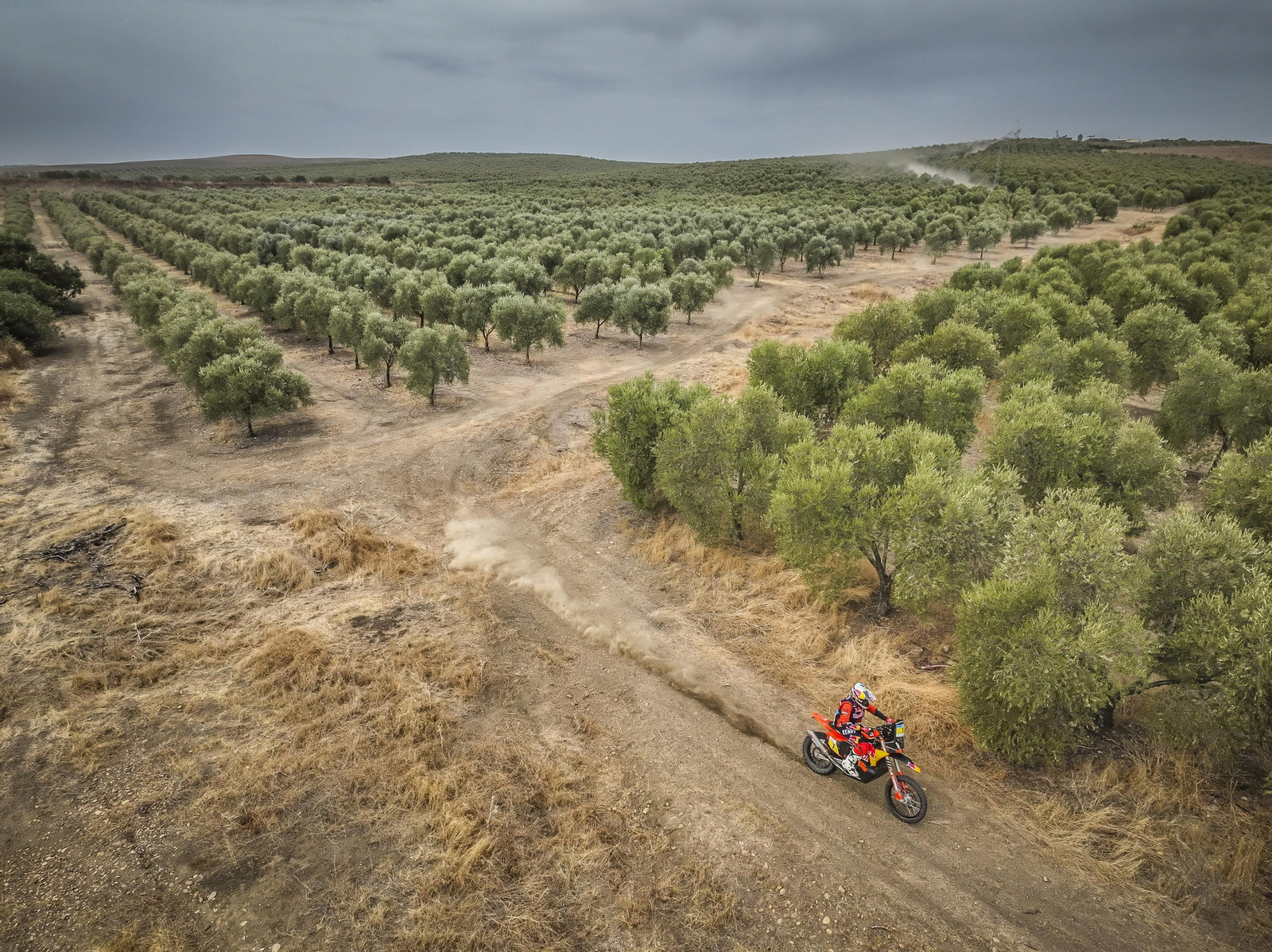 Andalucía Rally: las imágenes del 'Dakar' de Dos Hermanas | Día 2