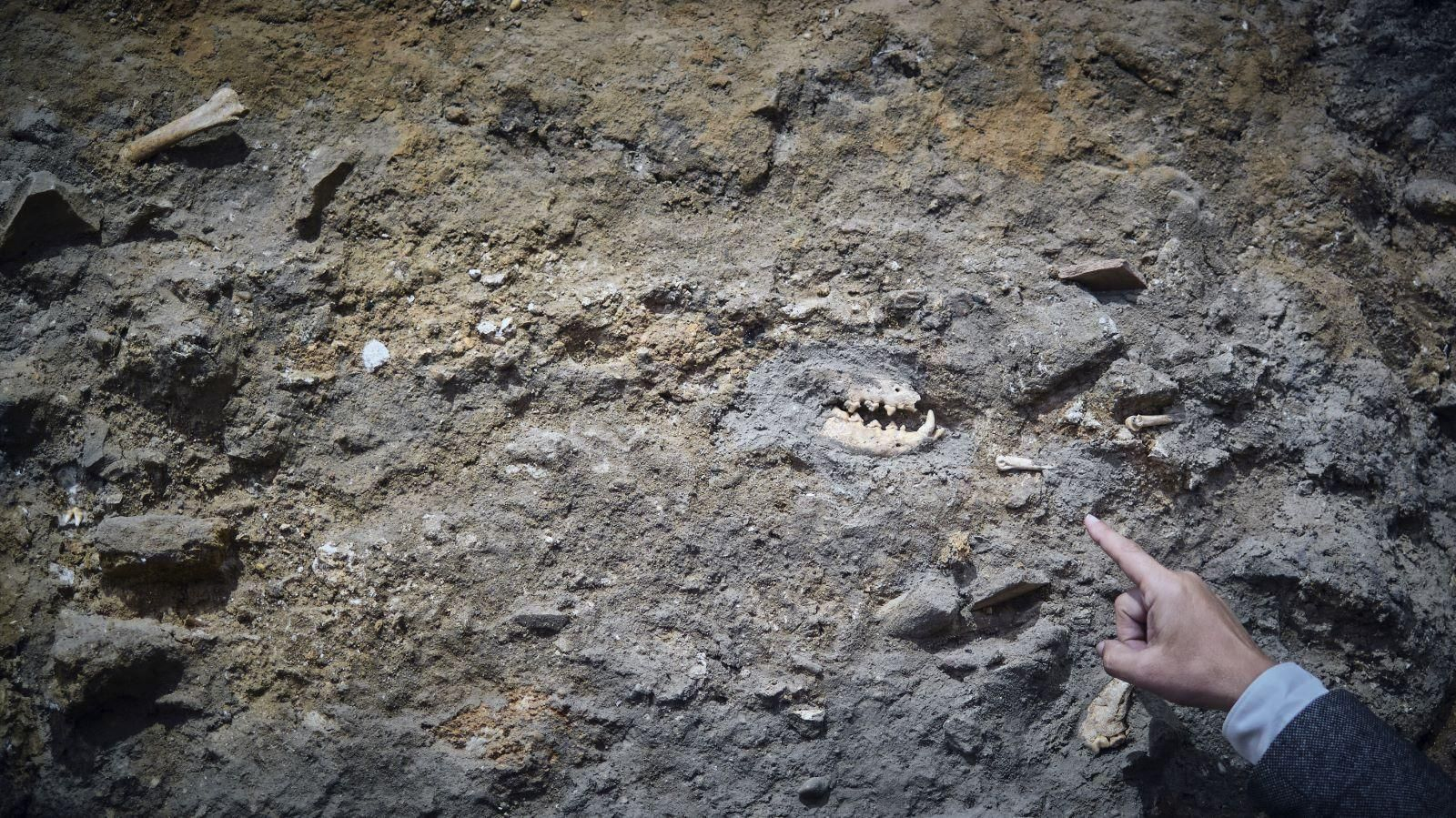 Las imágenes del Testaccio haliéutico de Gades