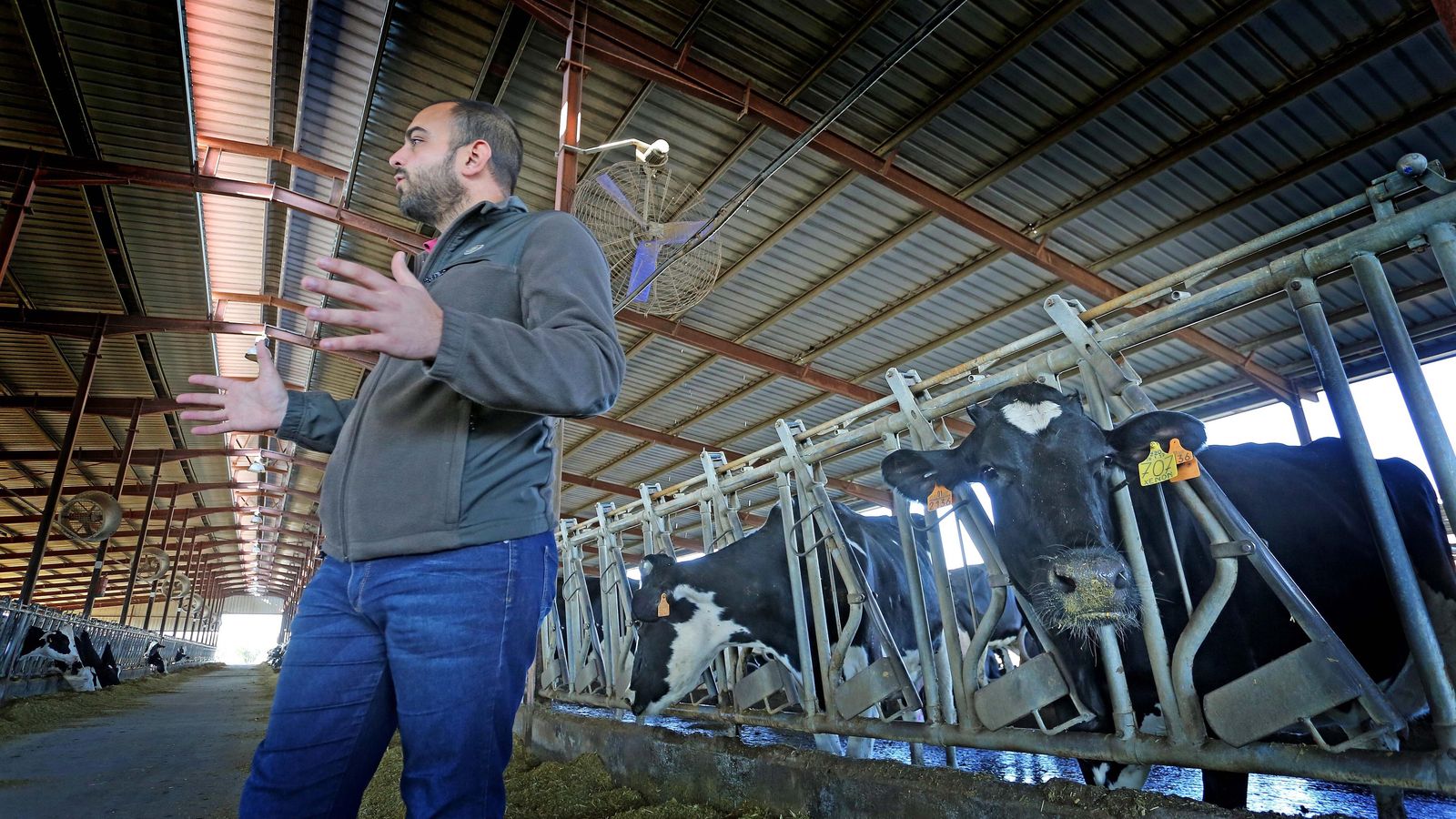 Miguel Junquera, veterinario ganadero, explica las características de las instalaciones.
