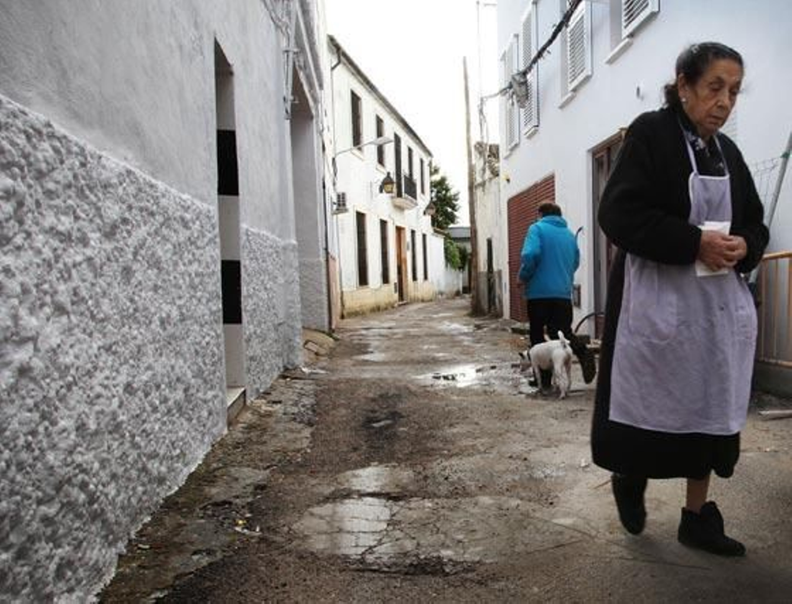Un recorrido por sus calles que hace un flaco favor al flamenco, declarado Patrimonio de la Humanidad por la Unesco hace unas semanas.

Foto: Vanesa Lobo