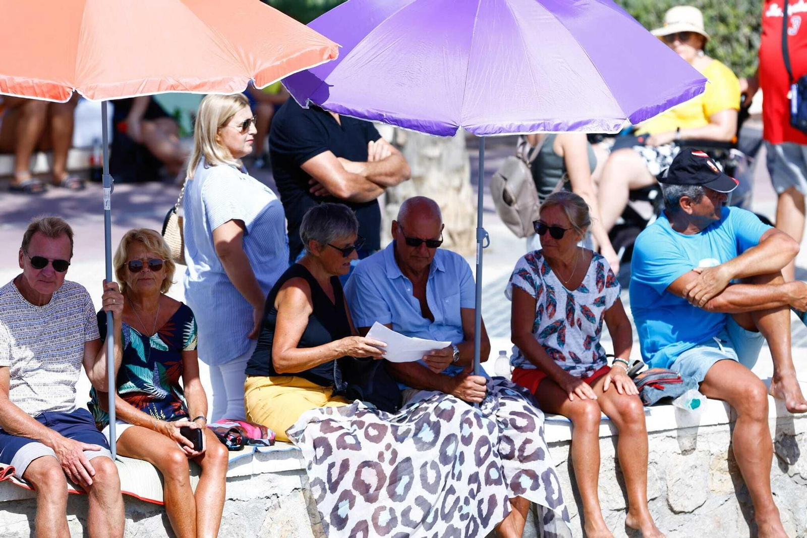 El Festival Aéreo de Torre del Mar en imágenes