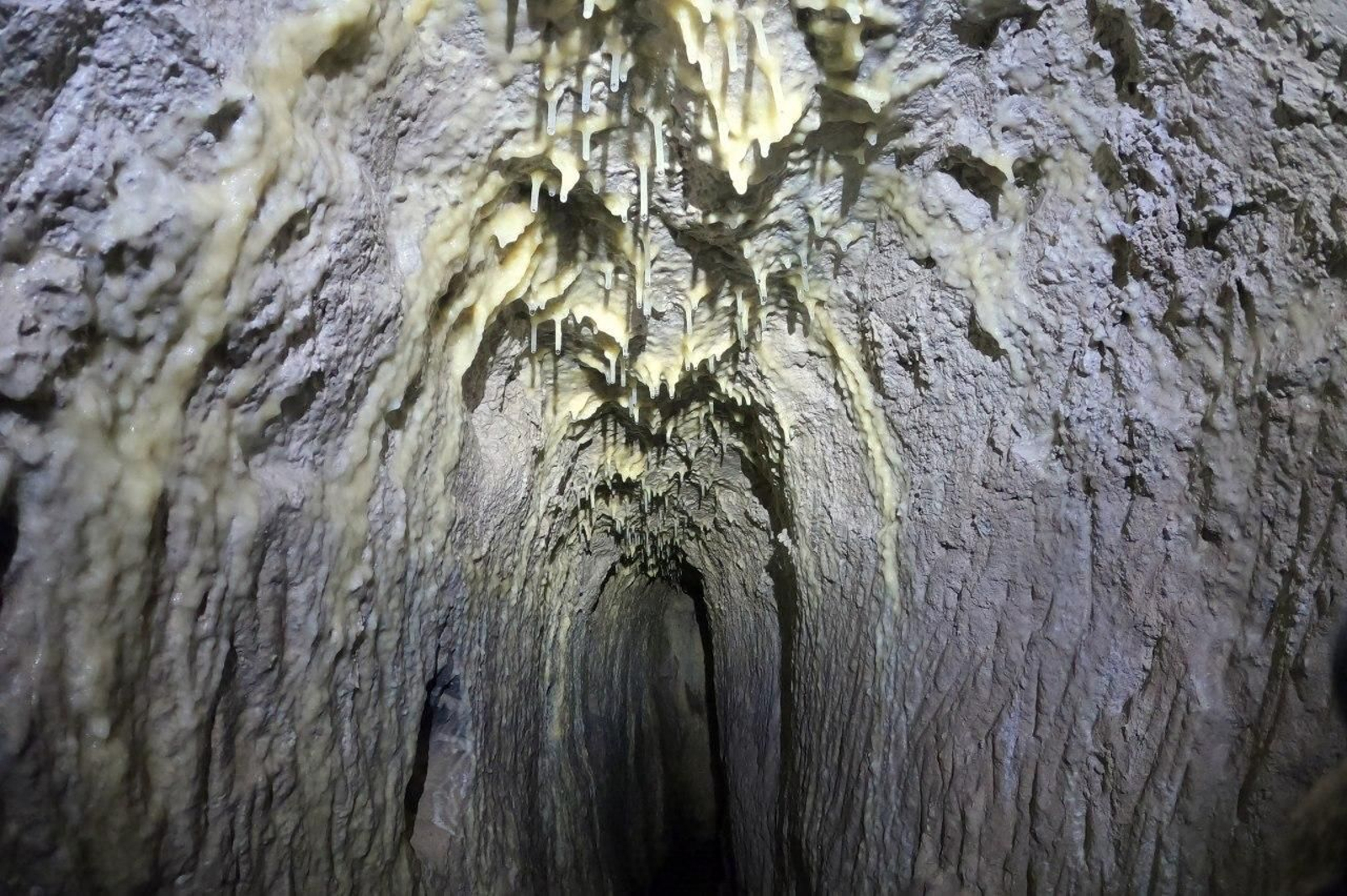 Mina de la Nava de Torreperogil. Mina de la Nava de Torreperogil.