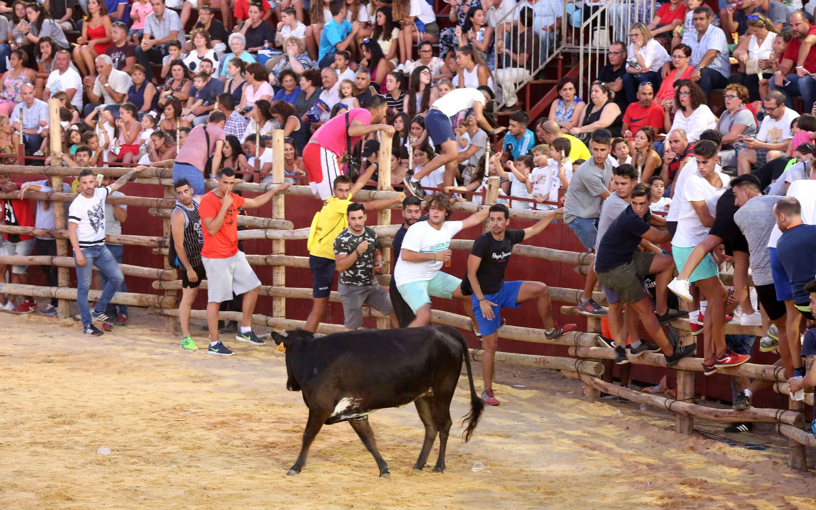 Visitantes y participantes en una de las capeas que ofrece la localidad durante el verano.