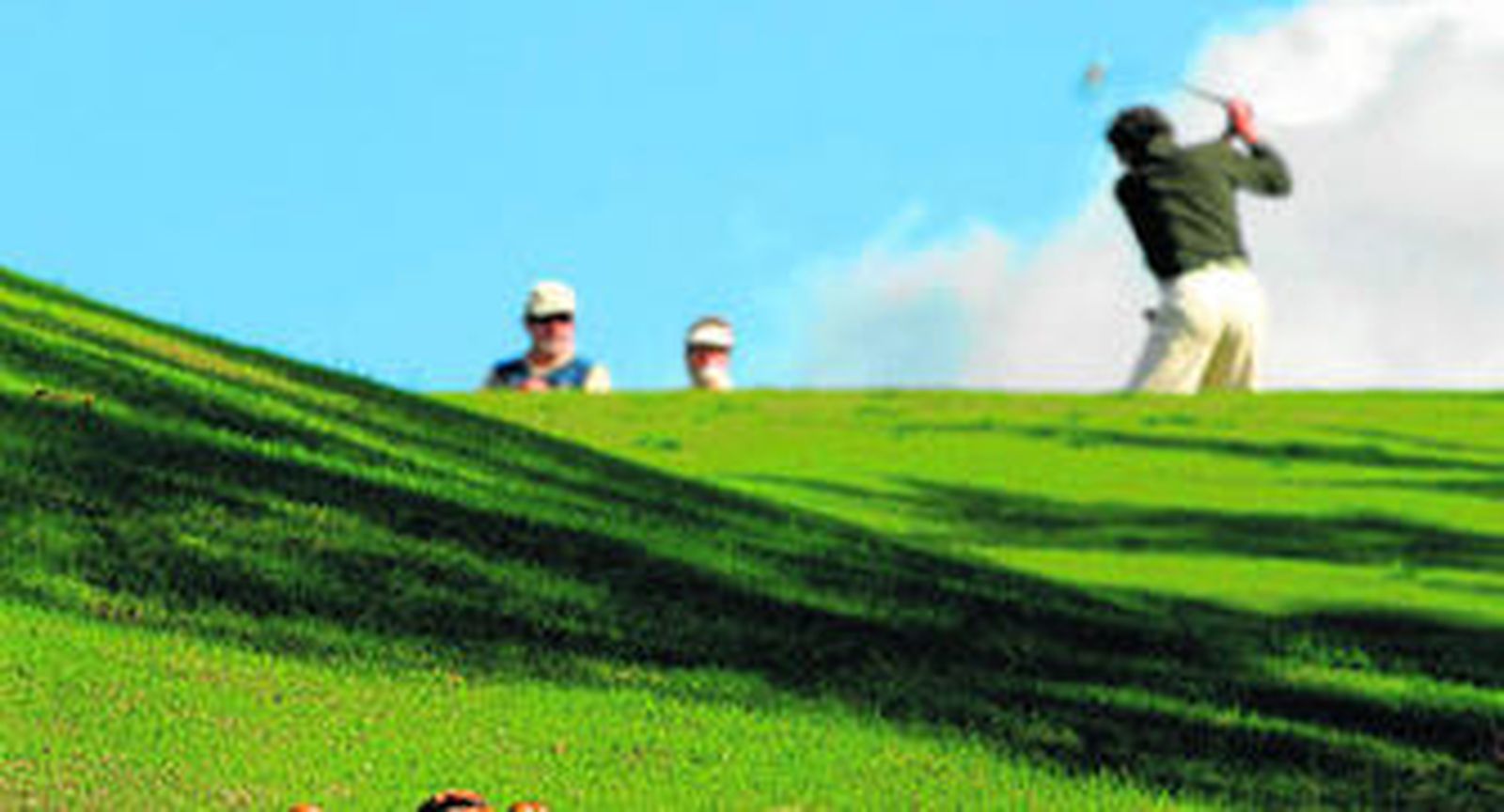 Varias personas juegan al golf en un campo.