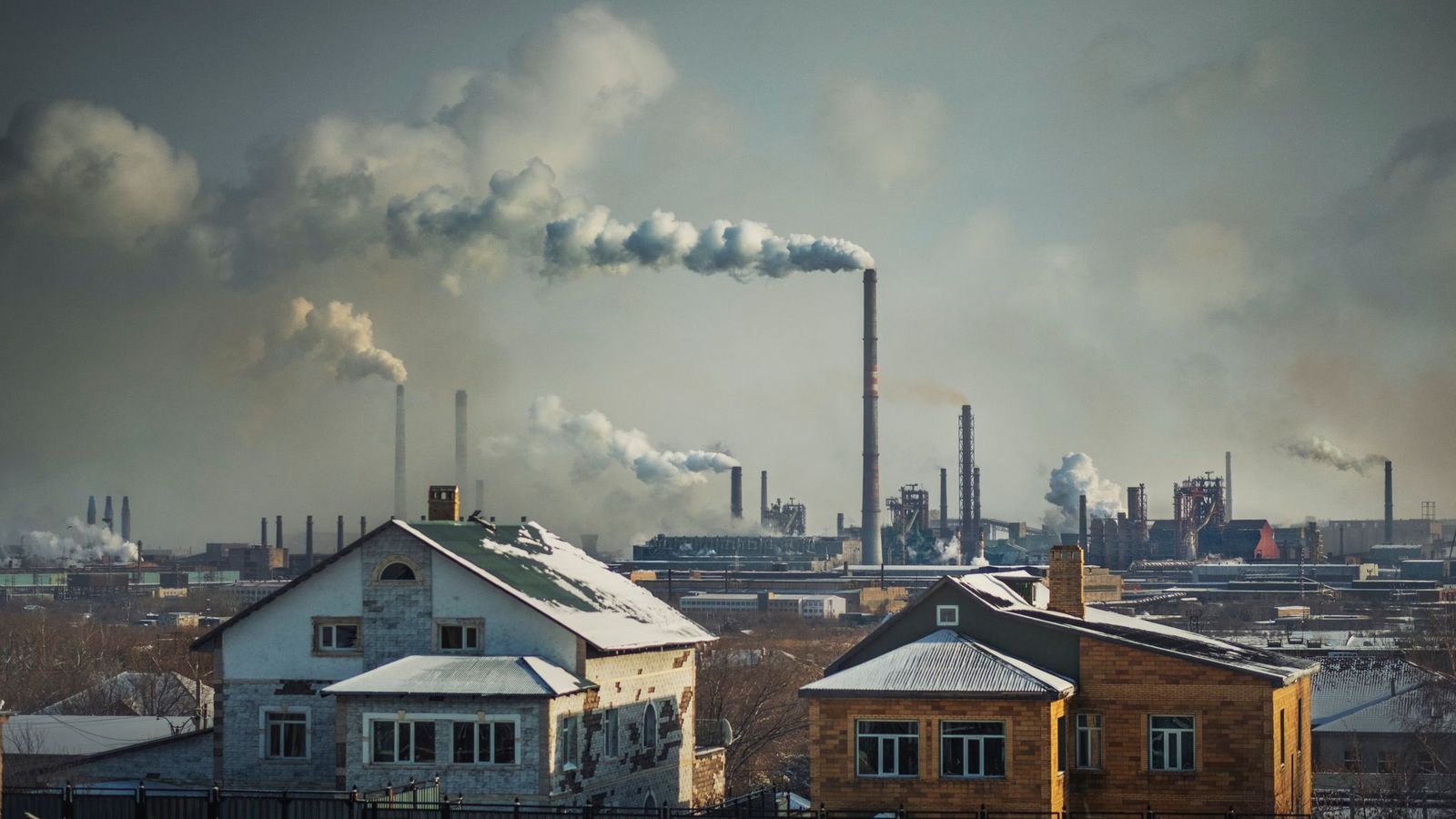 Üyler Termitau (2017)