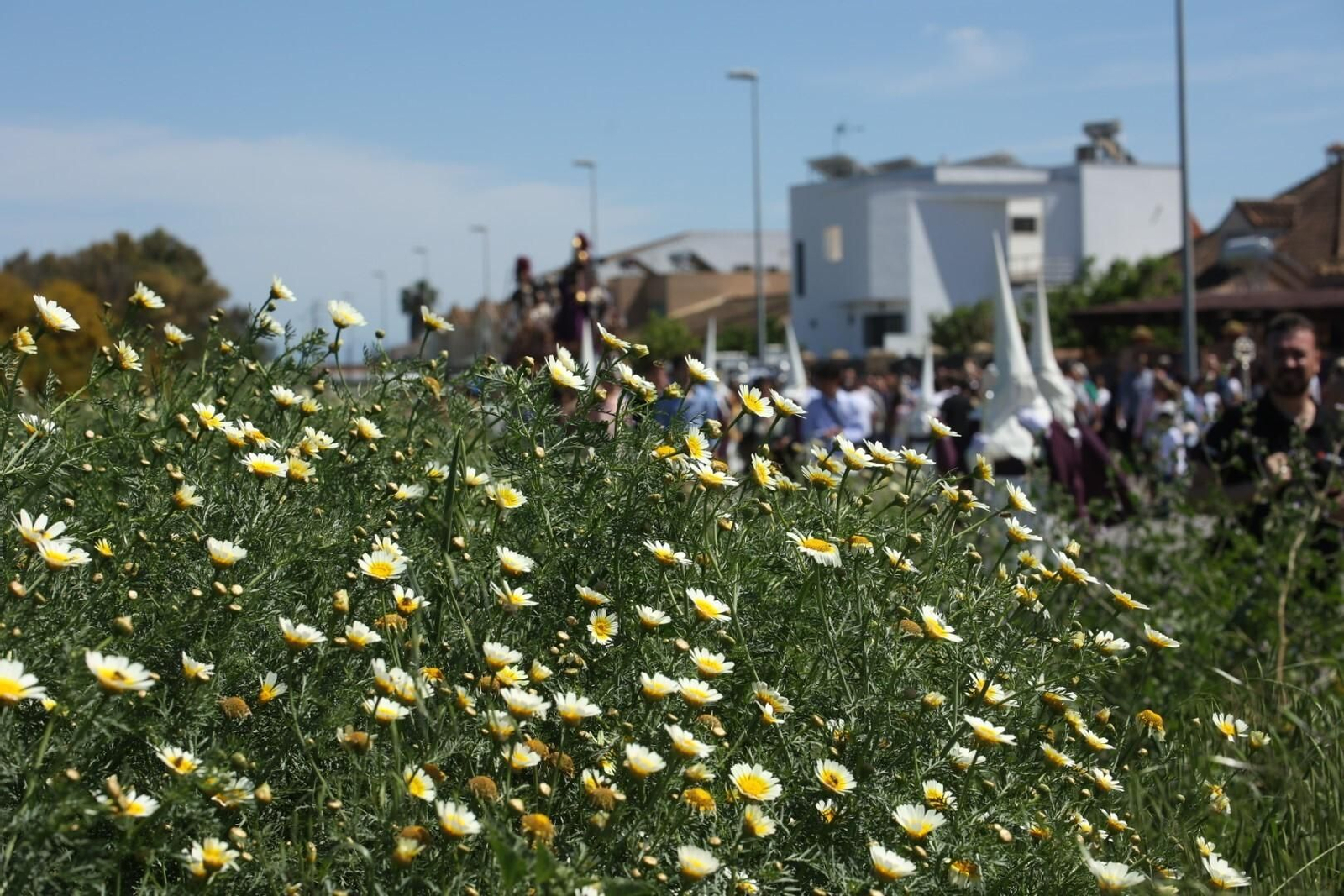 Las imágenes del Sábado de Pasión en Jerez