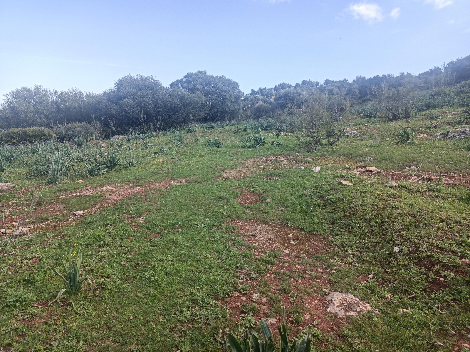 Tras las ruinas el recorrido ya no estará definido.