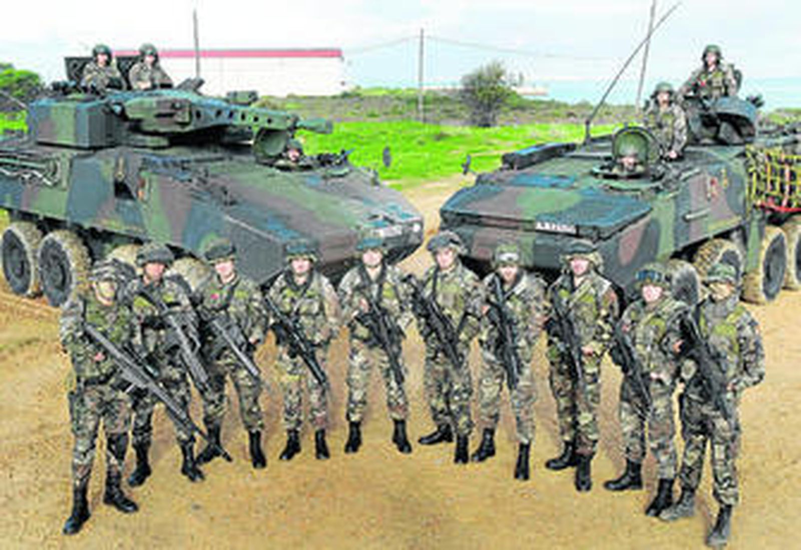 Pirañas cabalgando sobre tierra