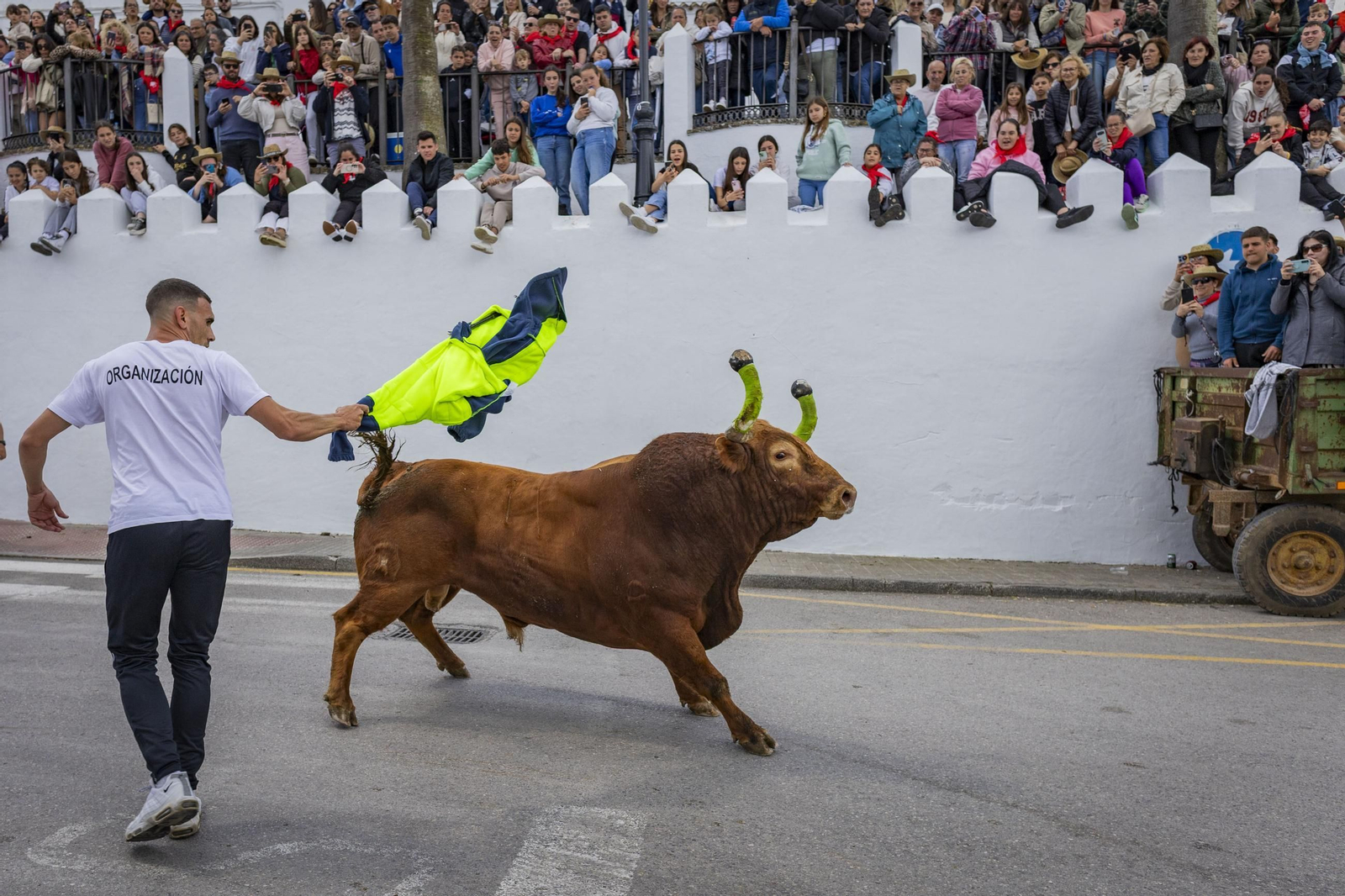 Las imágenes del Toro Embolao de Vejer 2025