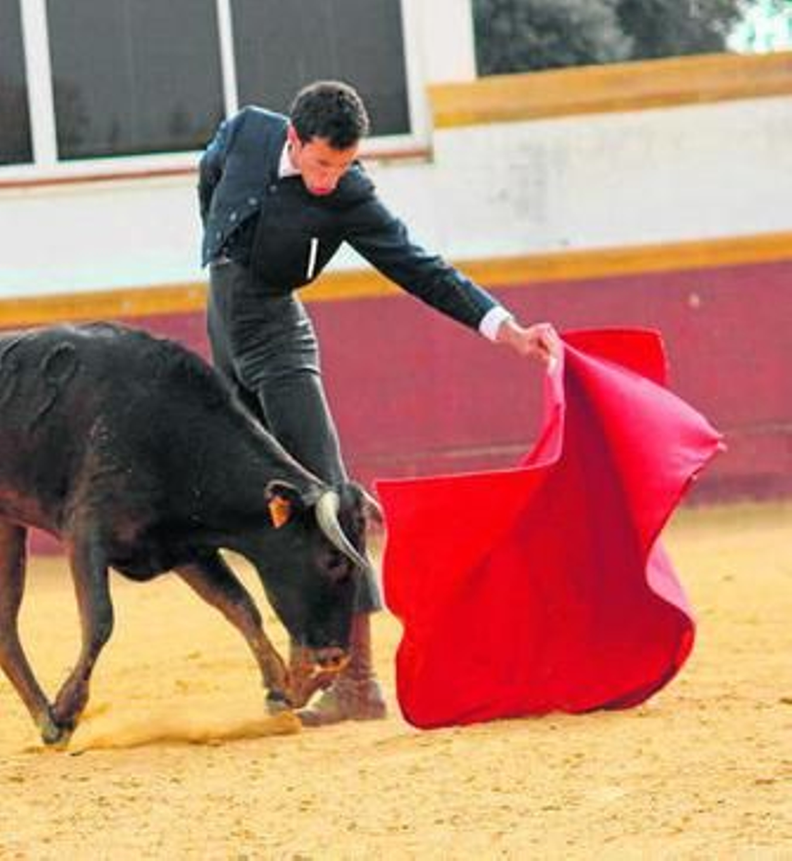 David de Miranda alargando el viaje de la vaca.
