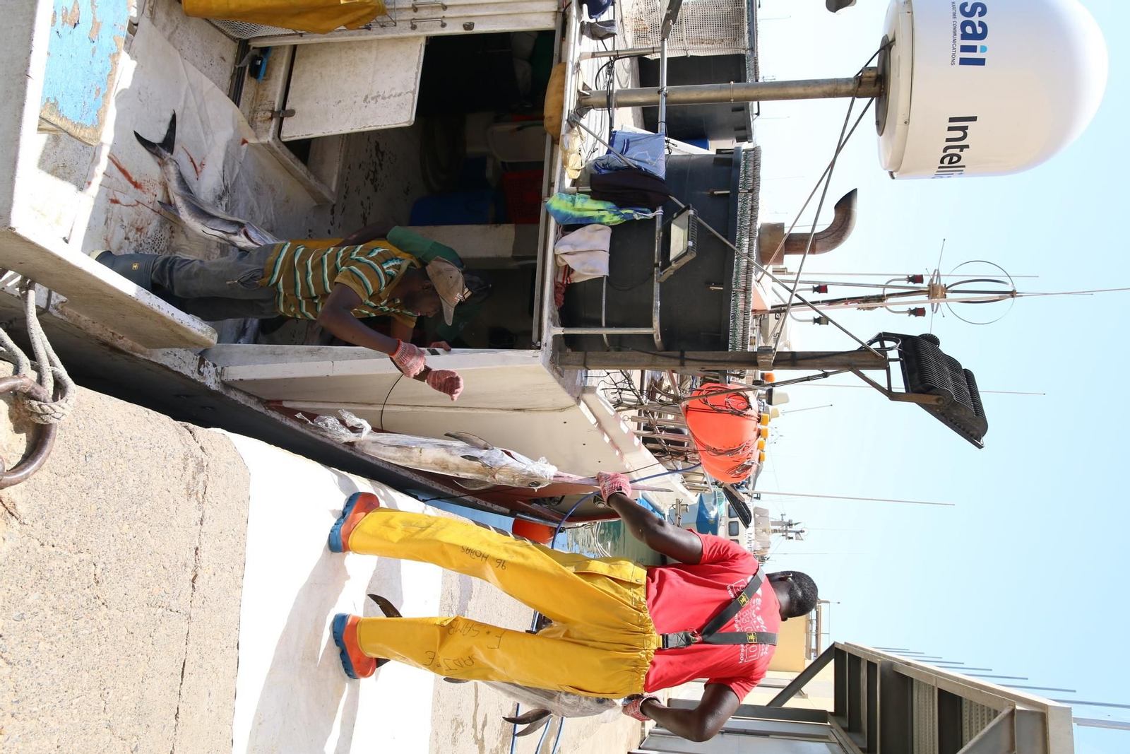 Fotogalería de la Cofradía de Pescadores de Adra