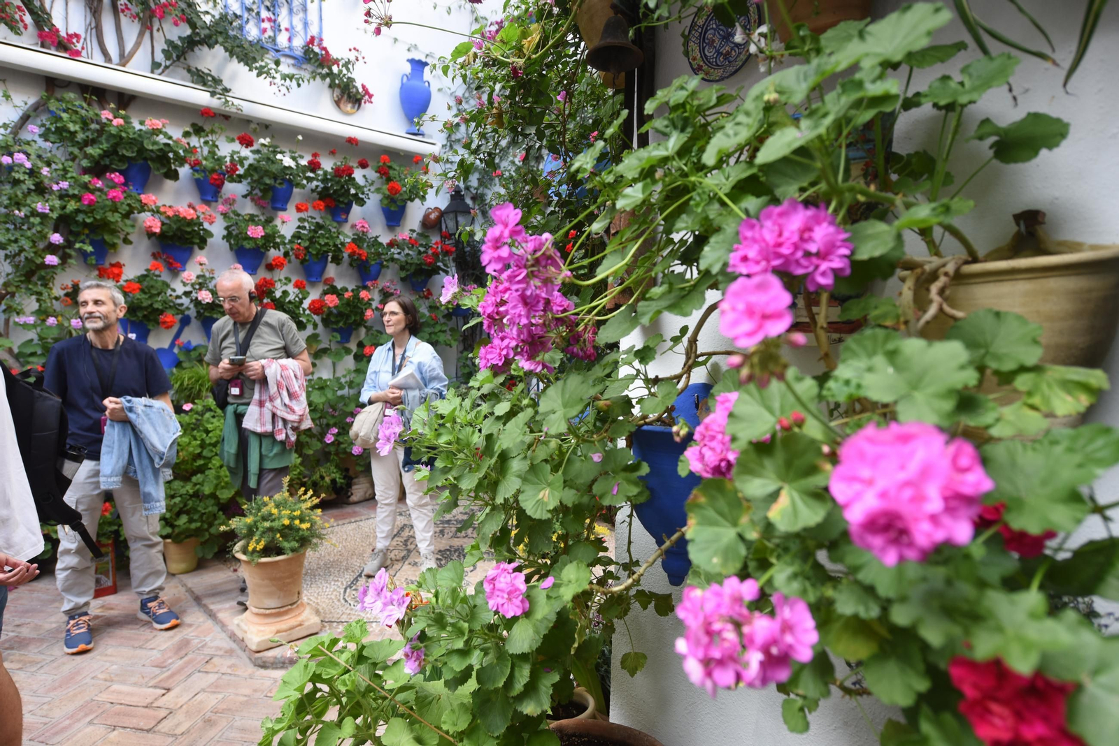 Los Patios de la ruta de San Lorenzo, en imágenes