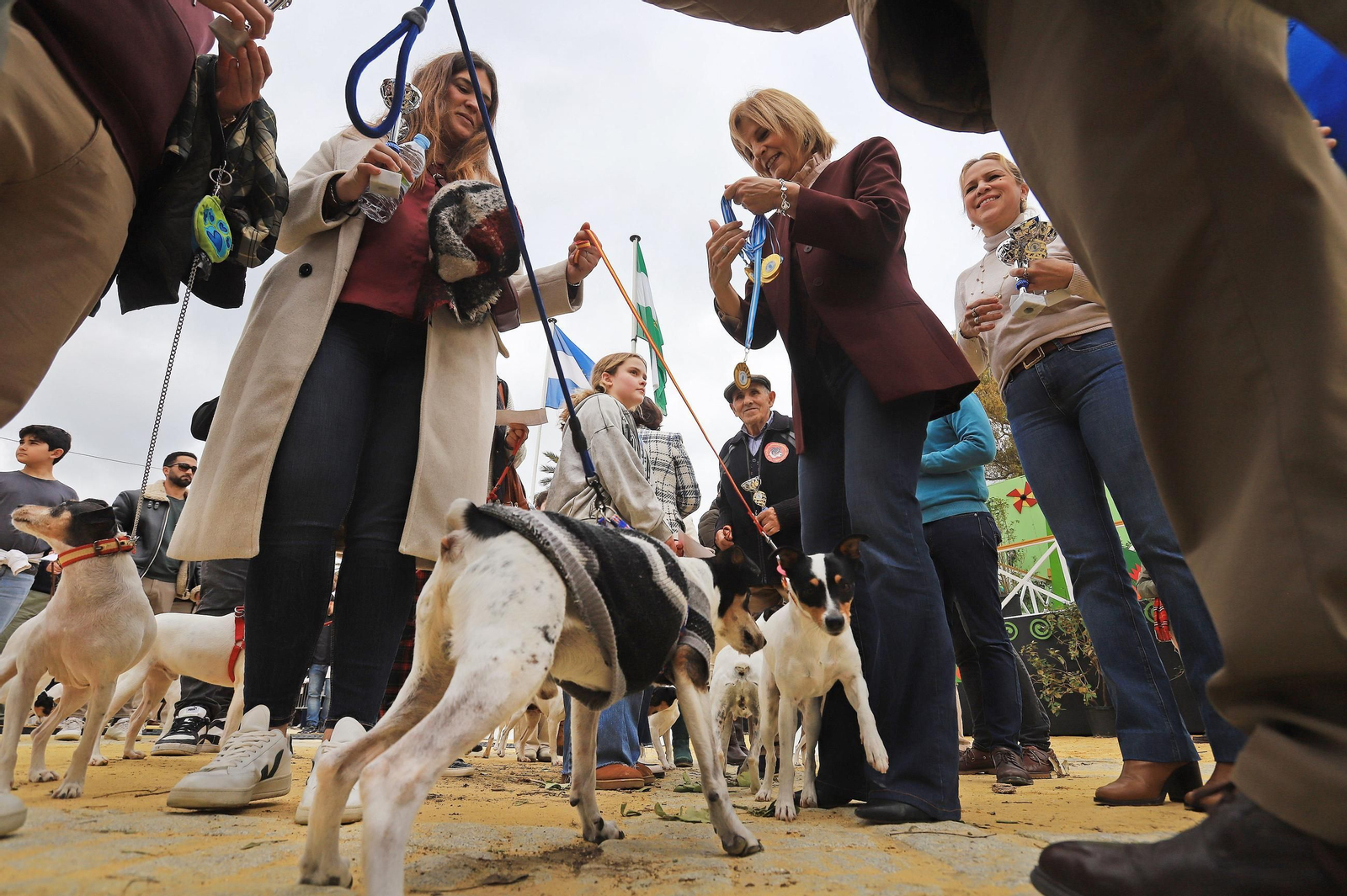 Jerez celebra San Antón 2025