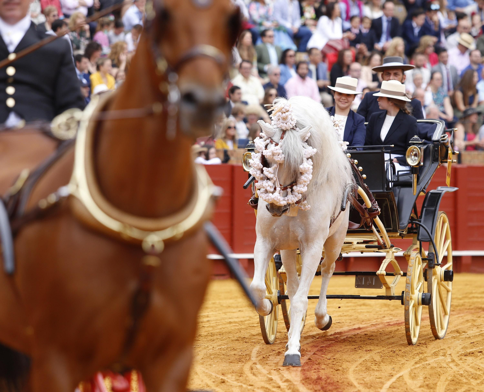 La 34º exhibición de enganches de la Feria de Sevilla en imágenes