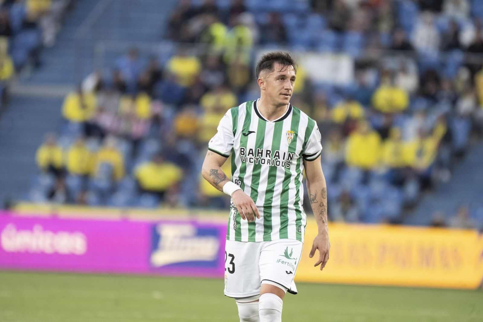 Las mejores fotos del triunfo del Córdoba CF ante Las Palmas