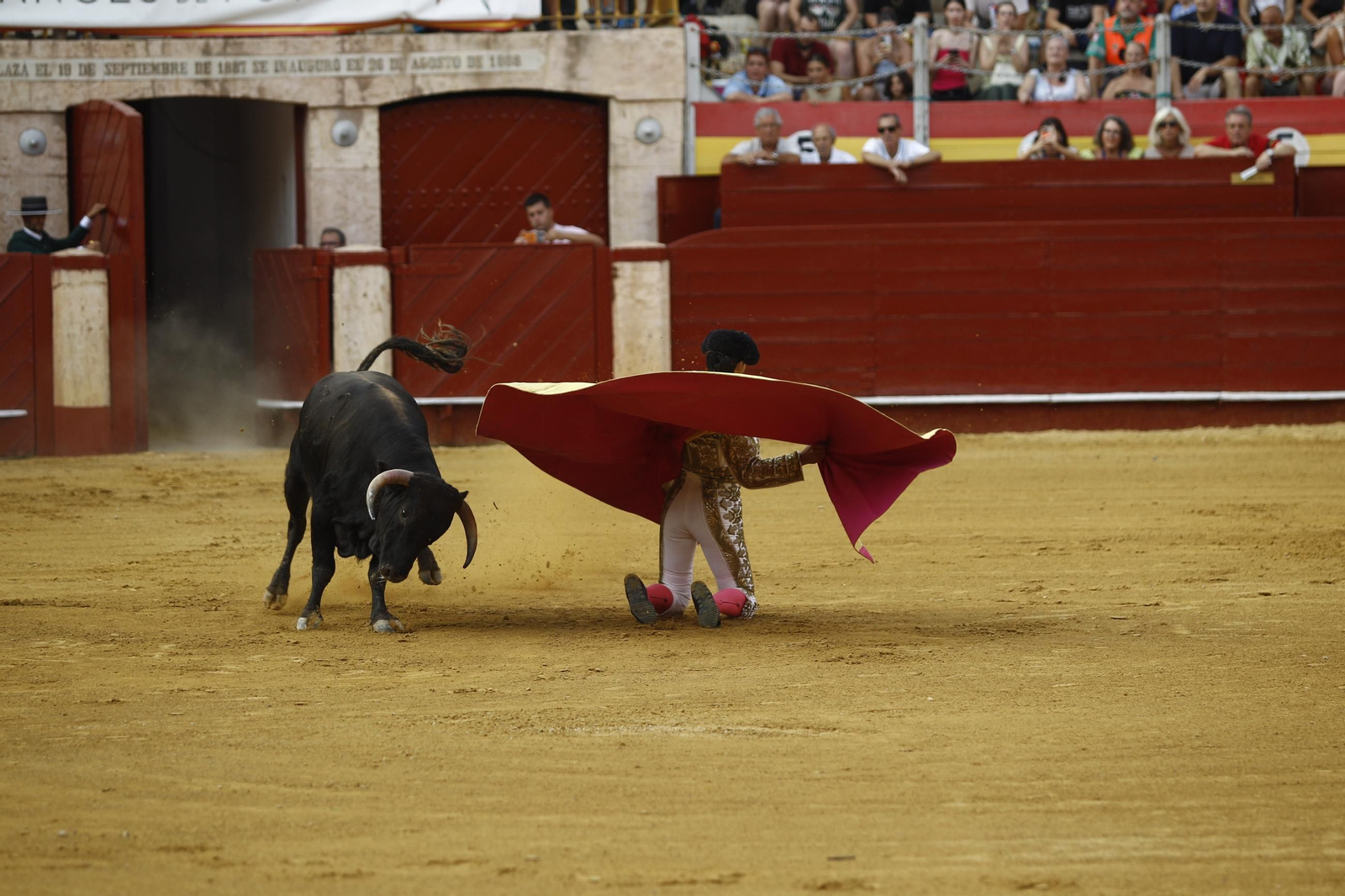 Las mejores imágenes de la clase práctica de la Escuela Municipal Taurina de Almería