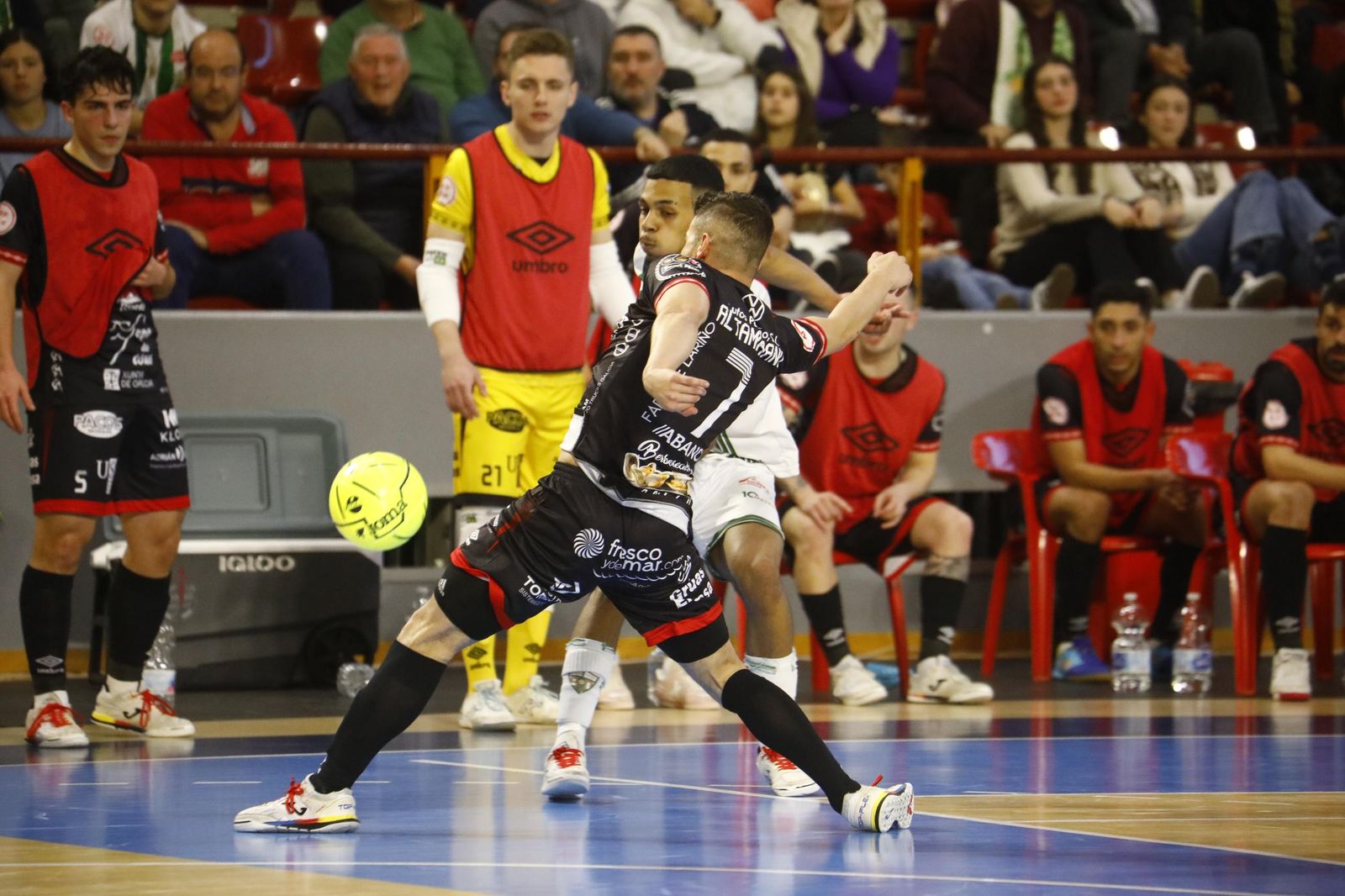Las mejores fotos del ambiente en Vista Alegre para el Córdoba Futsal - Noia