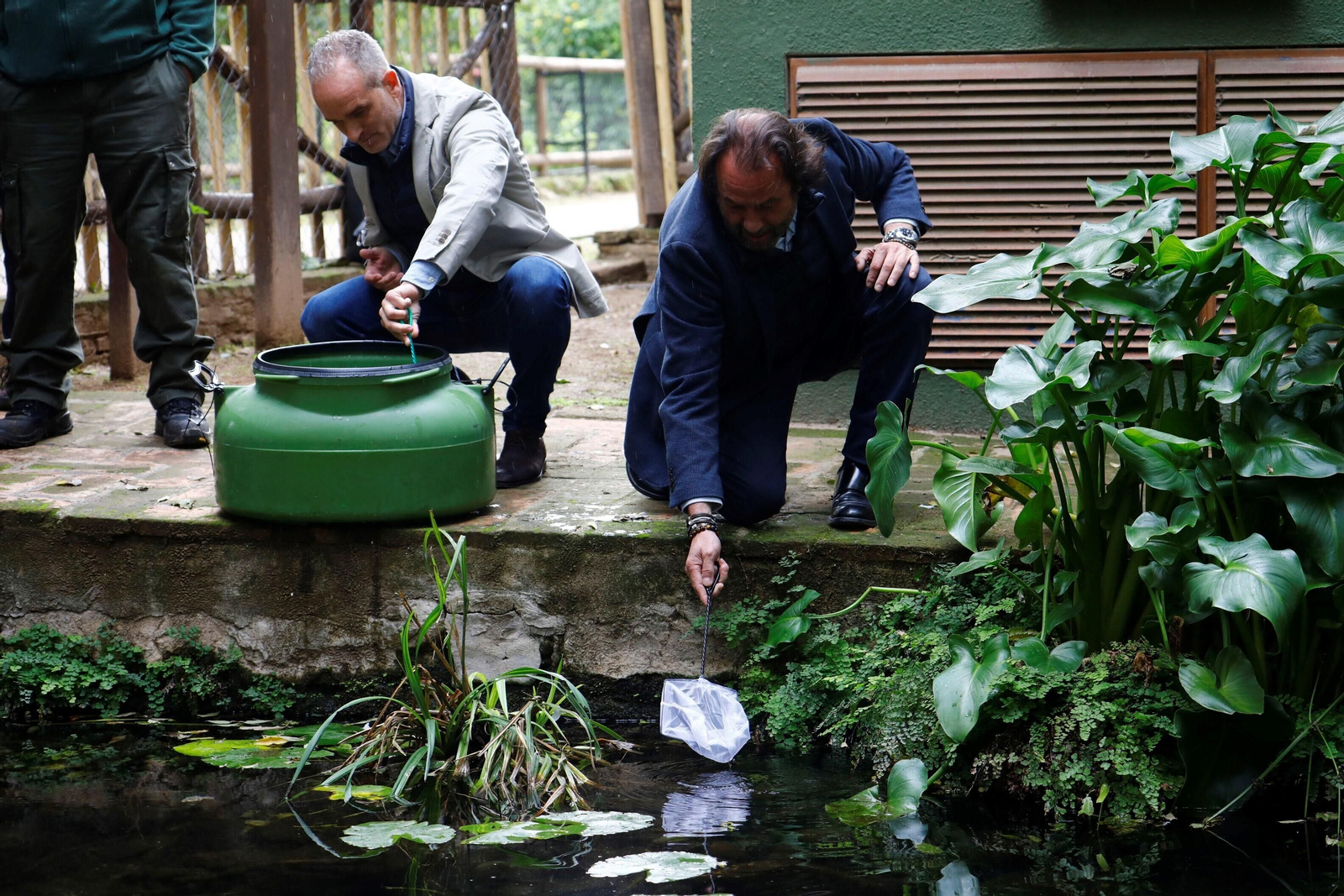 La suelta de salinetes en el zoo de Córdoba, en imágenes La suelta de salinetes en el zoo de Córdoba, en imágenes