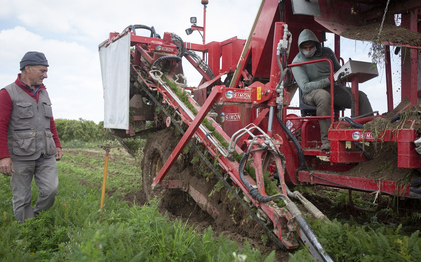 Coronavirus: de la tierra a la mesa