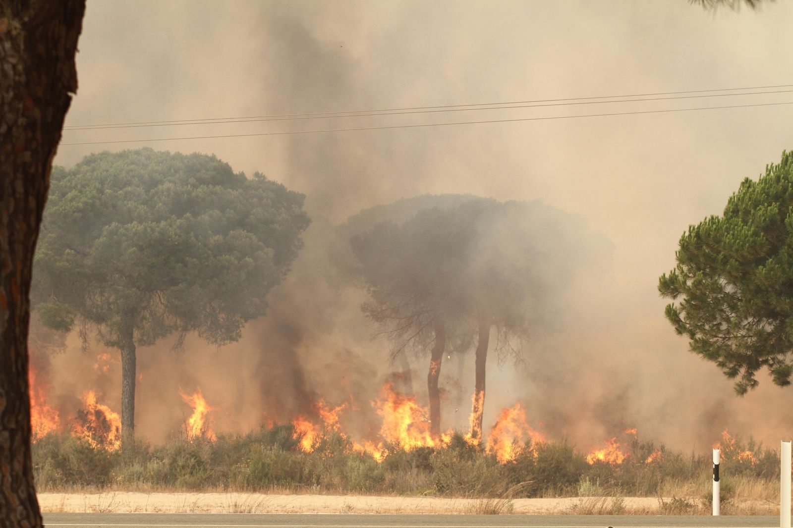 Las imágenes del incendio en Moguer y Mazagón