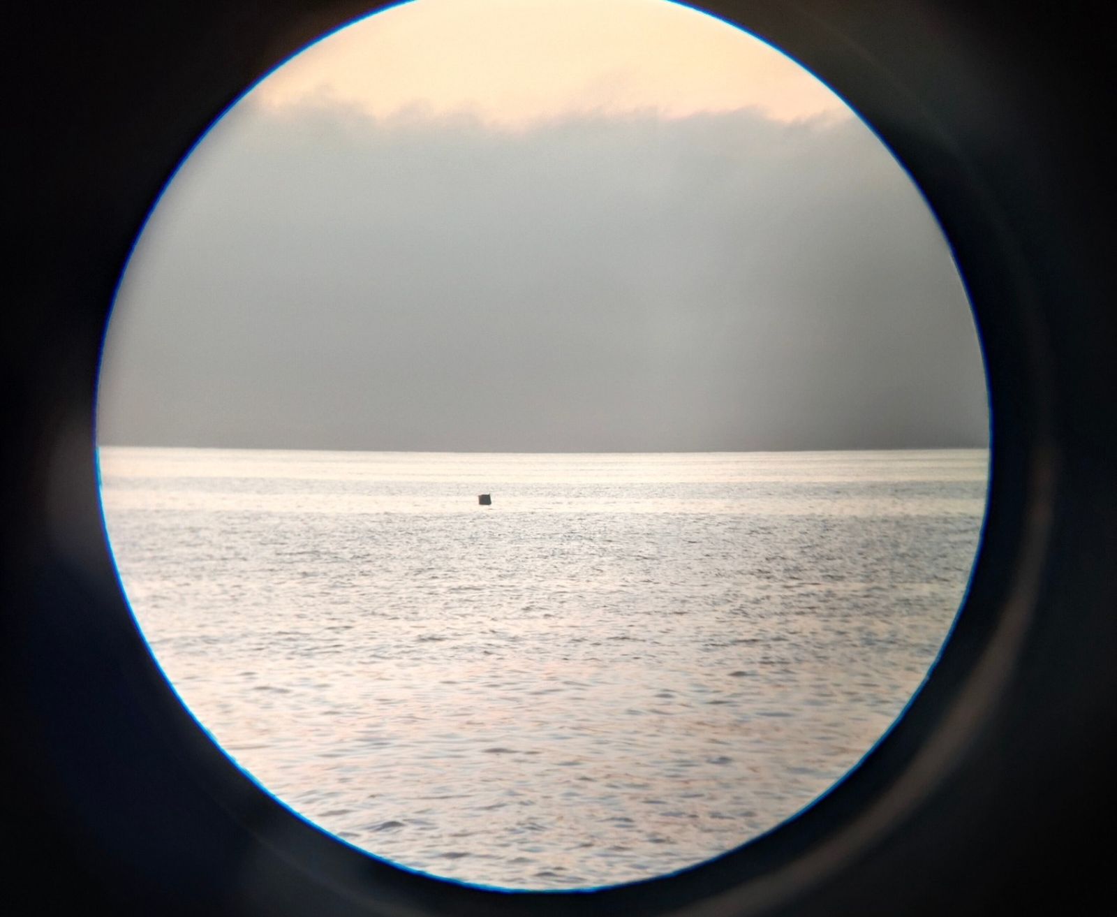 Navegando en el Poniente de Almería: del espectáculo de los delfines a los plásticos y petacas en el mar