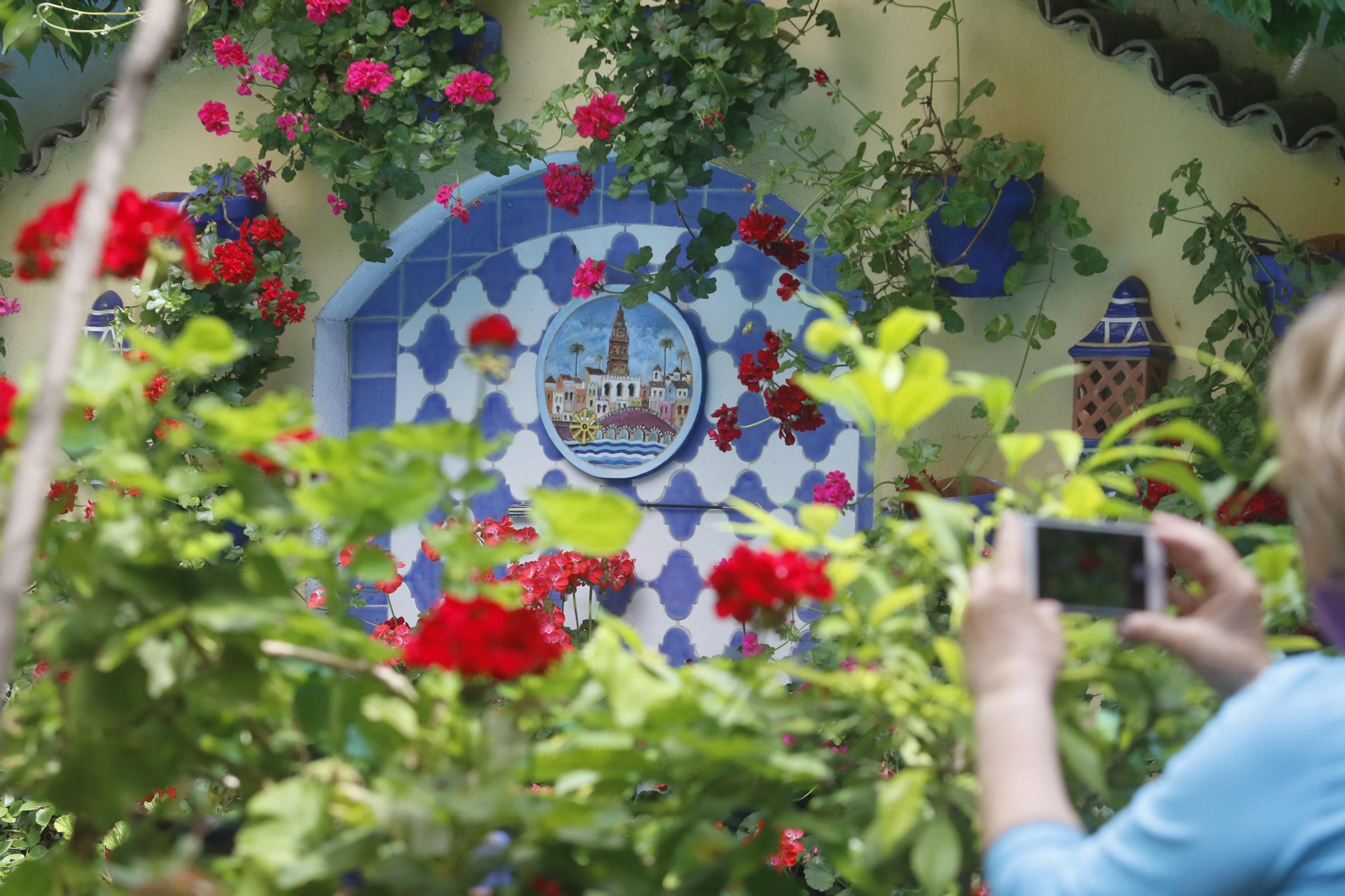 Ruta Regina - Realejo de los Patios de Córdoba, en imágenes