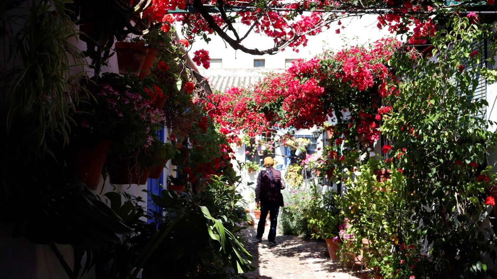 Patio de la calle Marroquíes.