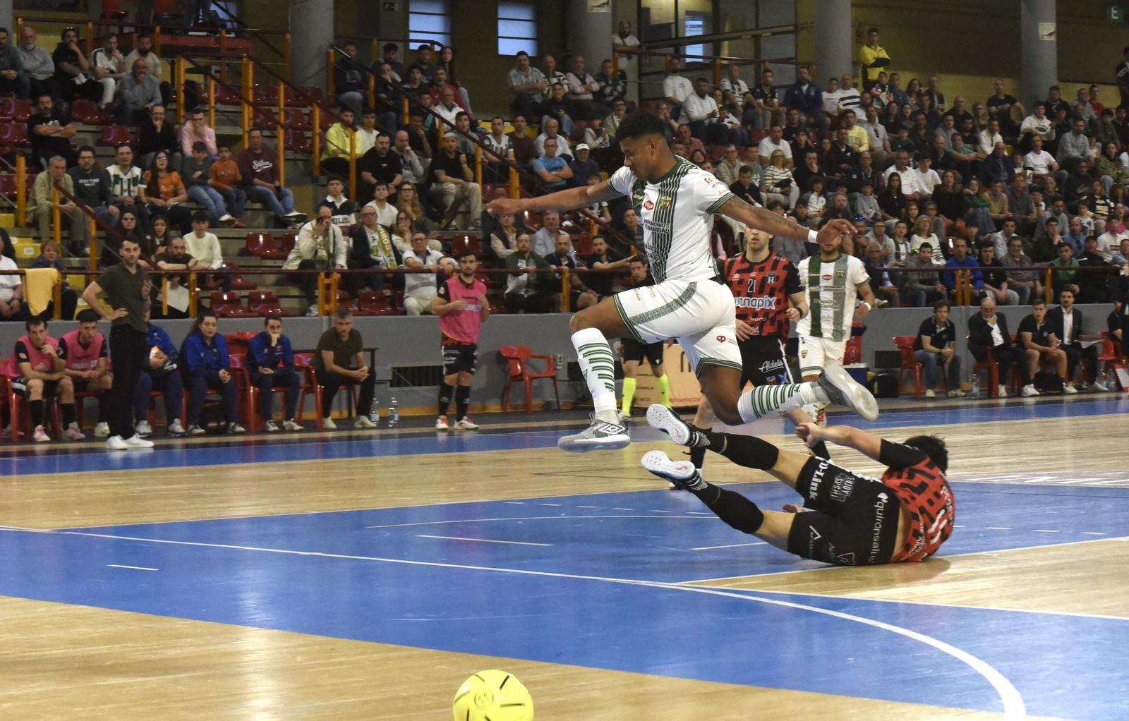 Las mejores fotos del ambiente en Vista Alegre para el Córdoba Futsal - AD Sala 10 Zaragoza