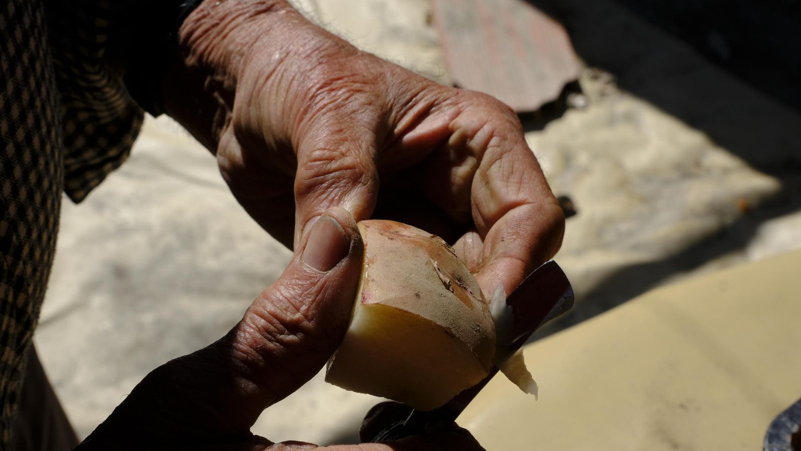 Las yetas, pequeños brotes de la patata.