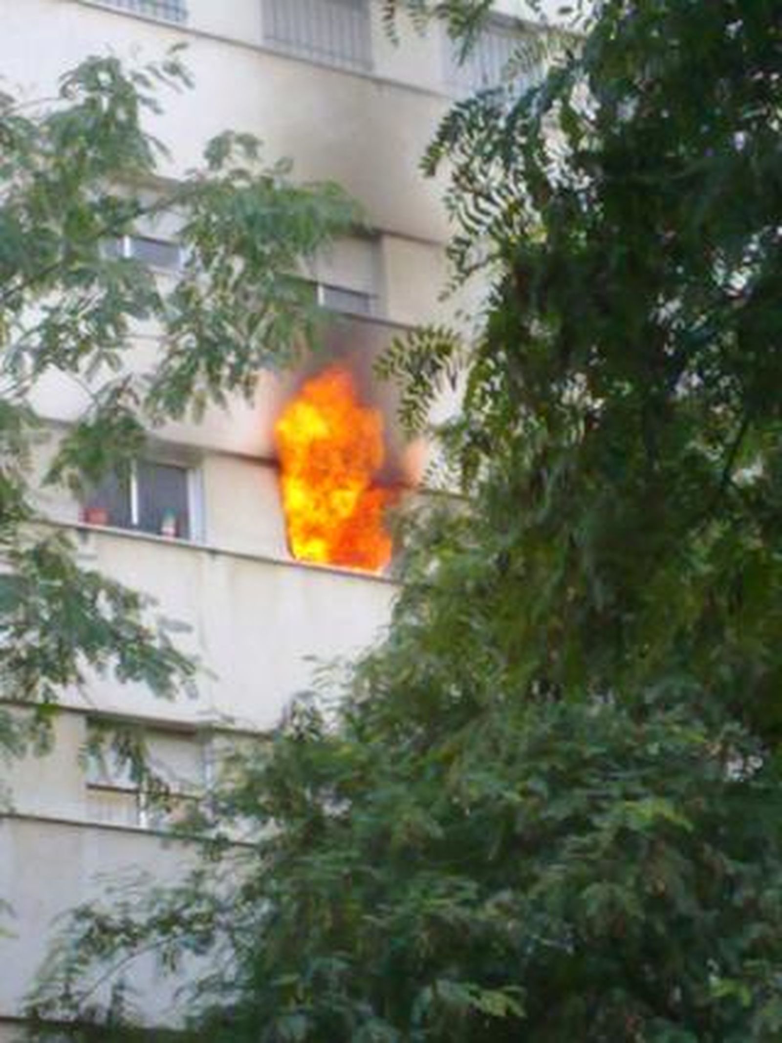 Foto: José Alfredo Tovar Cantos