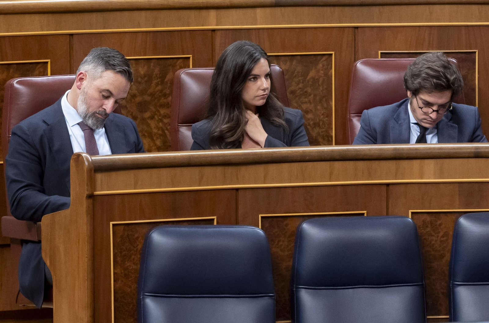 Vox no participará en el acto que presidirá el Rey en el Congreso por los  50 años de la Monarquía