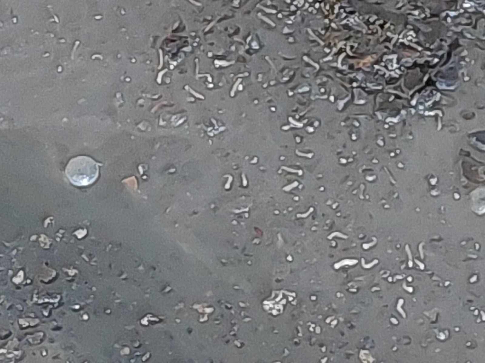 Así estaba la nave foco de la plaga de moscas en Jerez