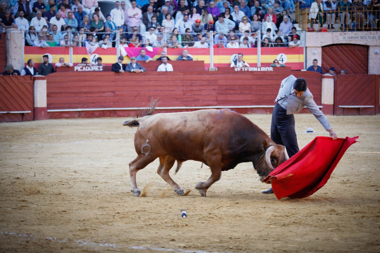 Imágenes del festival mixto lucha contra el cáncer