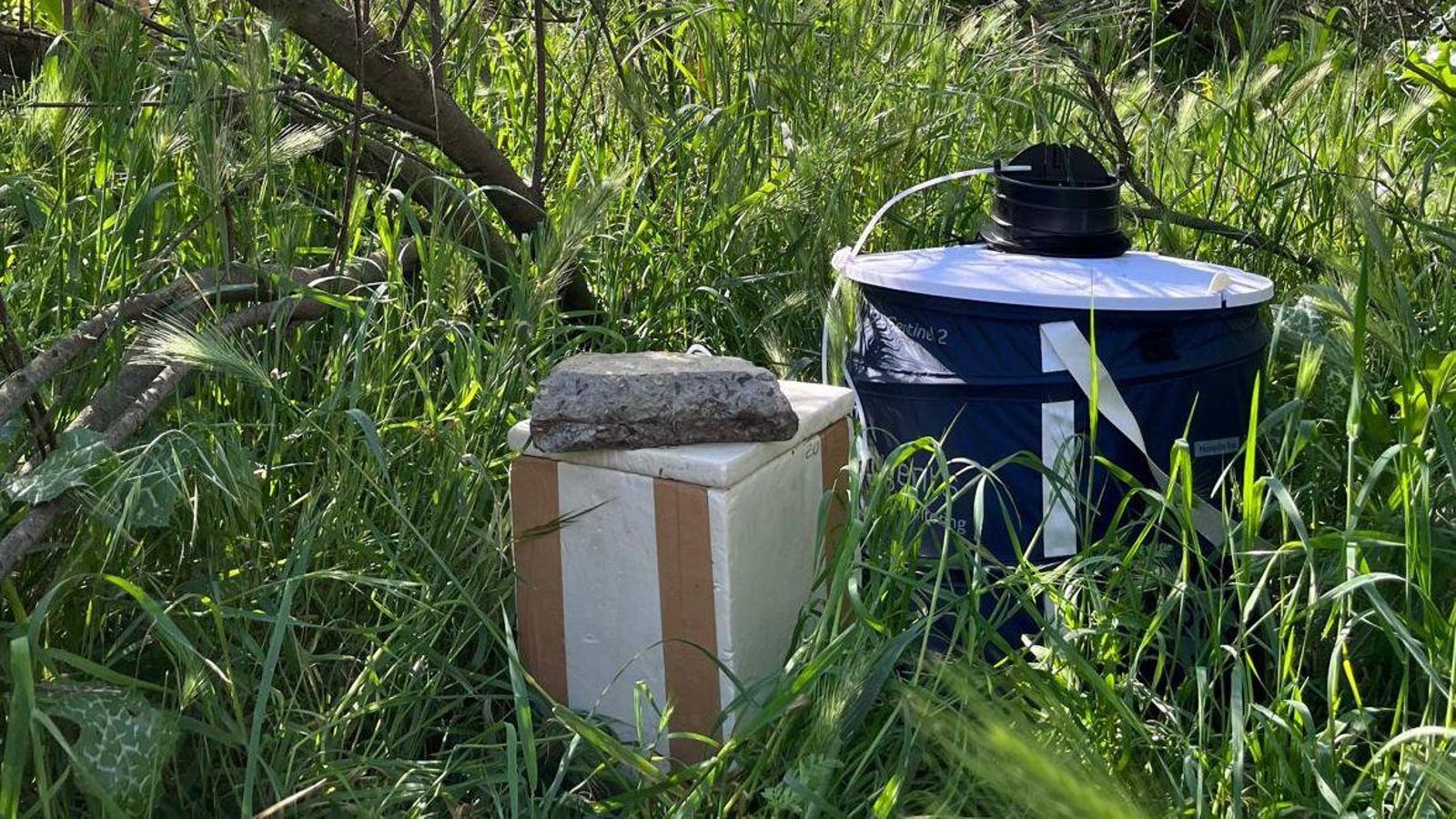 Trampas contra los mosquitos transmisores del virus del Nilo.